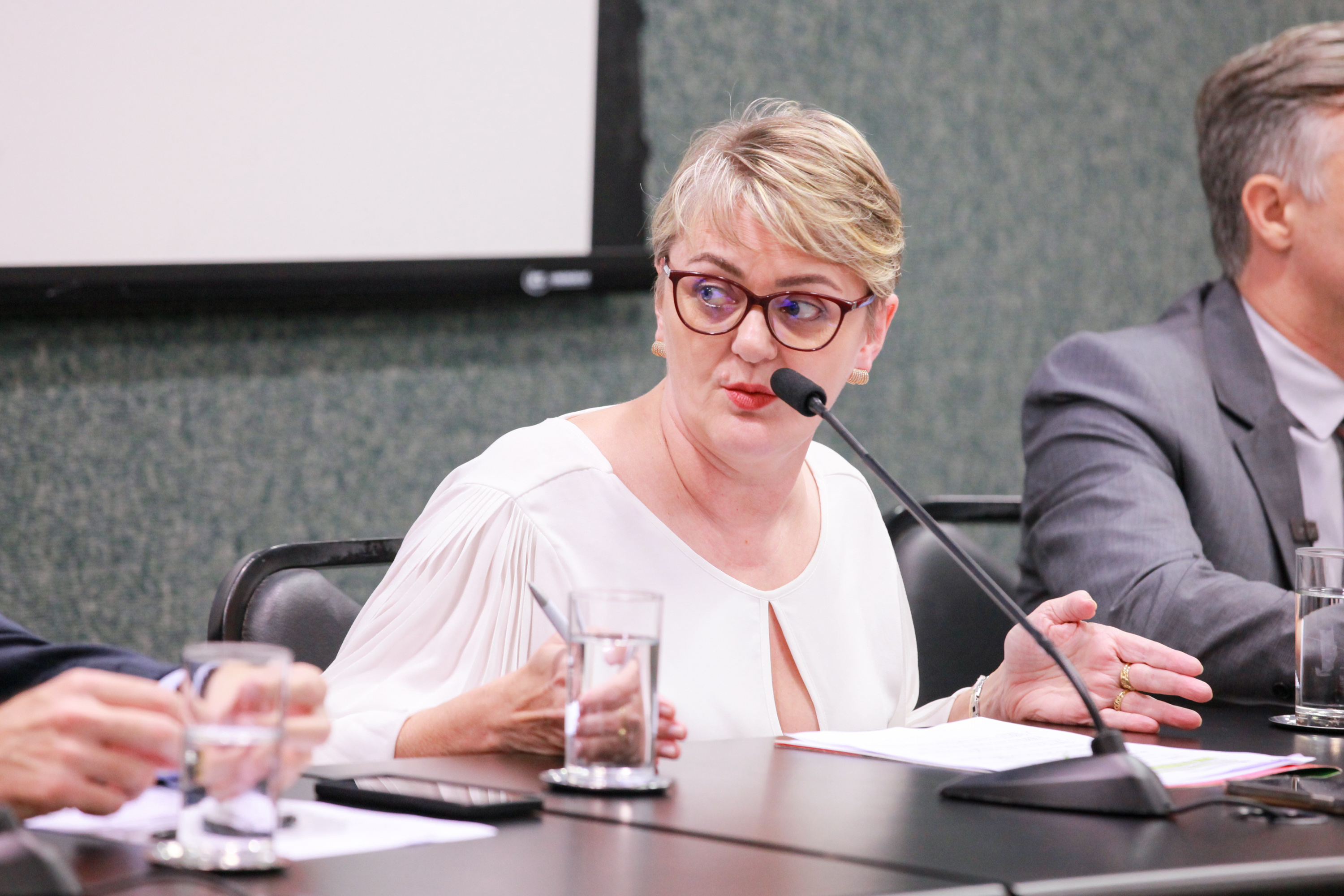 - Deputada Luciane Carminatti (PT)