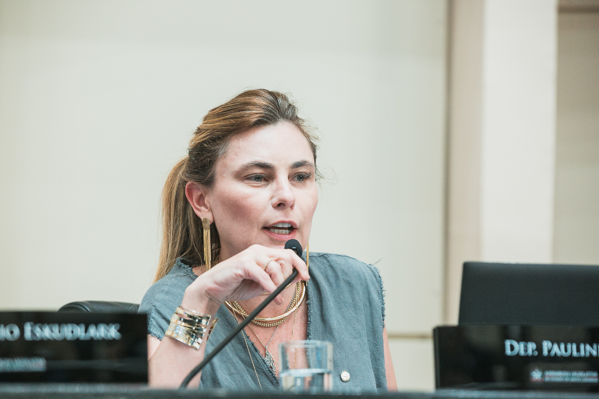 - Deputada Paulinha (Podemos)