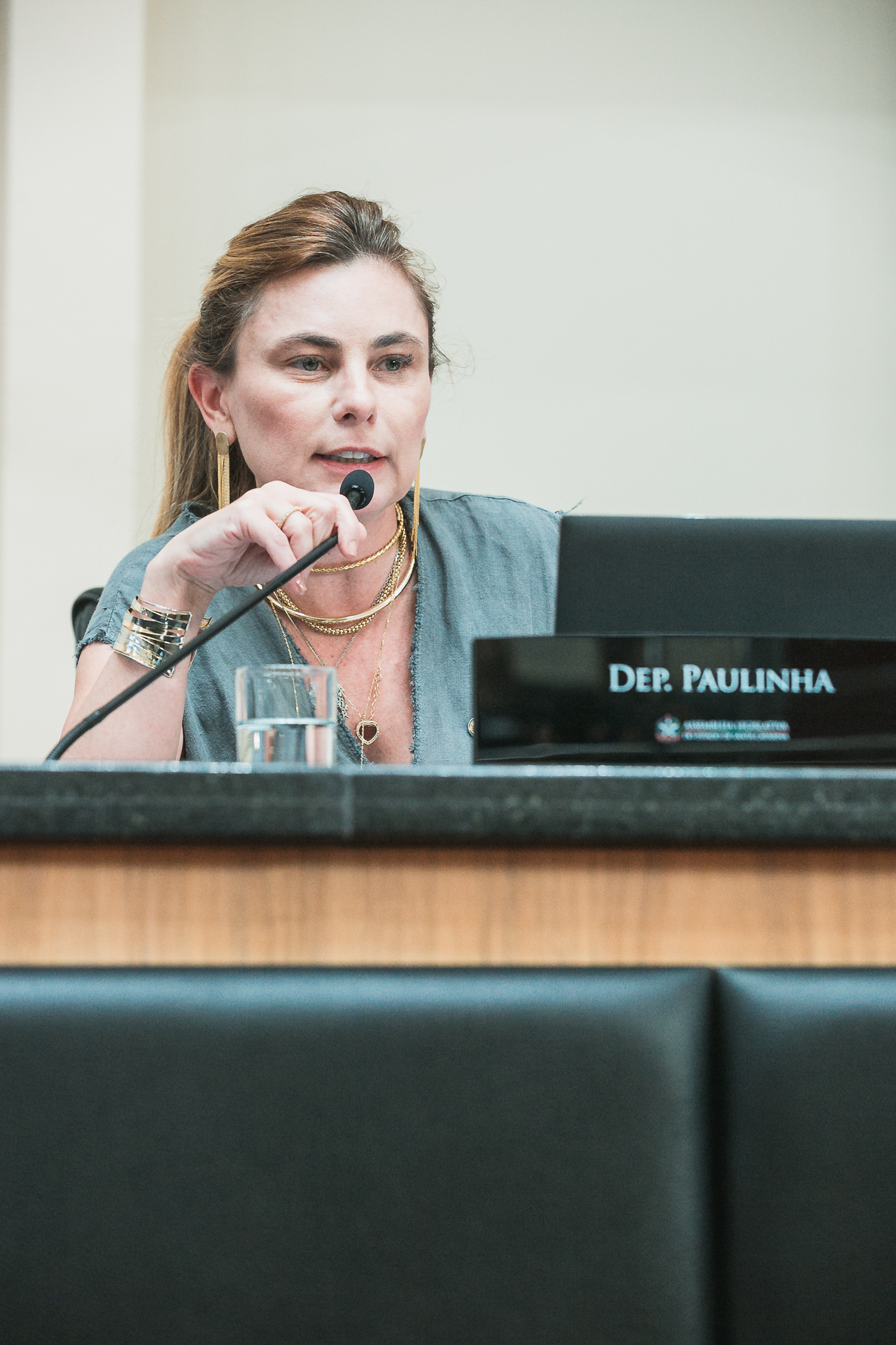 - Deputada Paulinha (Podemos)