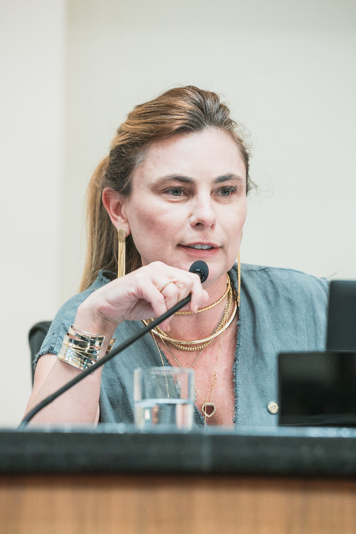 - Deputada Paulinha (Podemos)