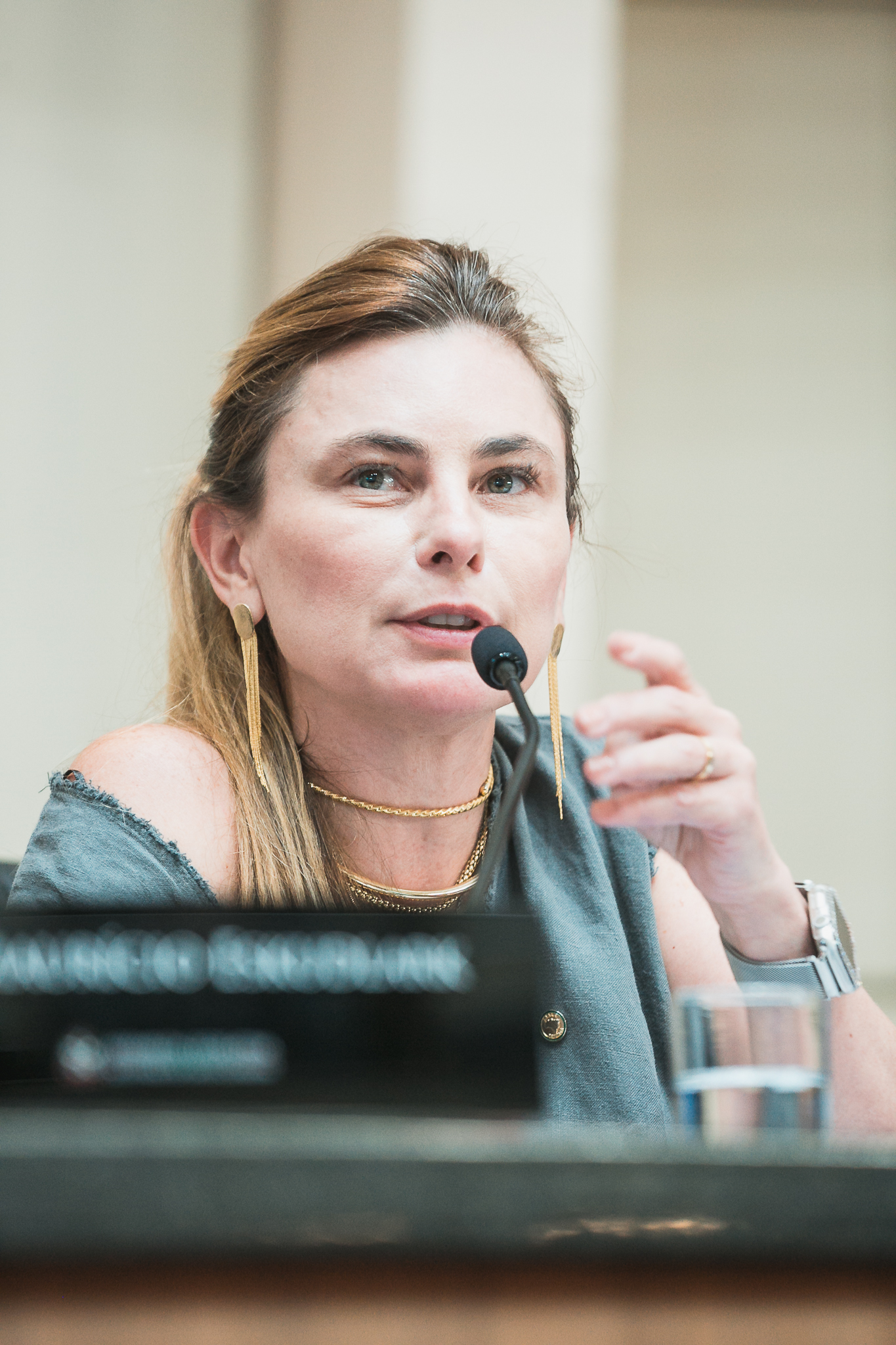 - Deputada Paulinha (Podemos)
