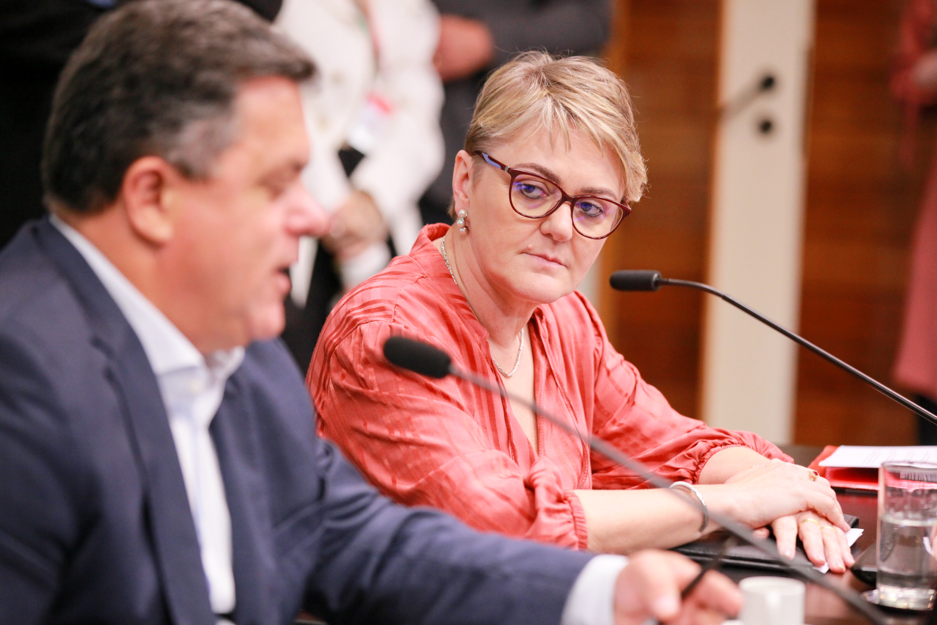 - Deputada Luciane Carminatti (PT)