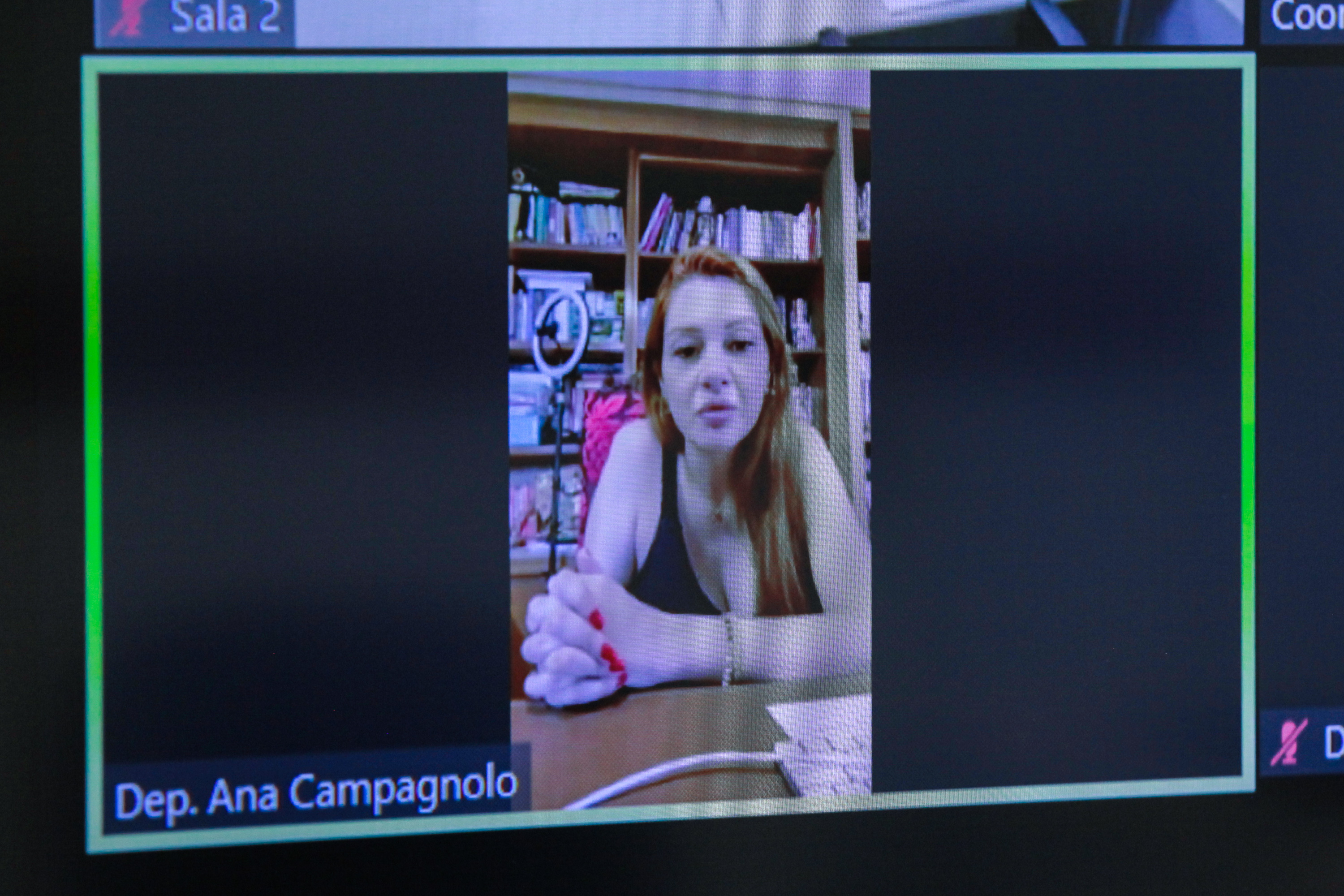 - Deputada Ana Campagnolo (PL)