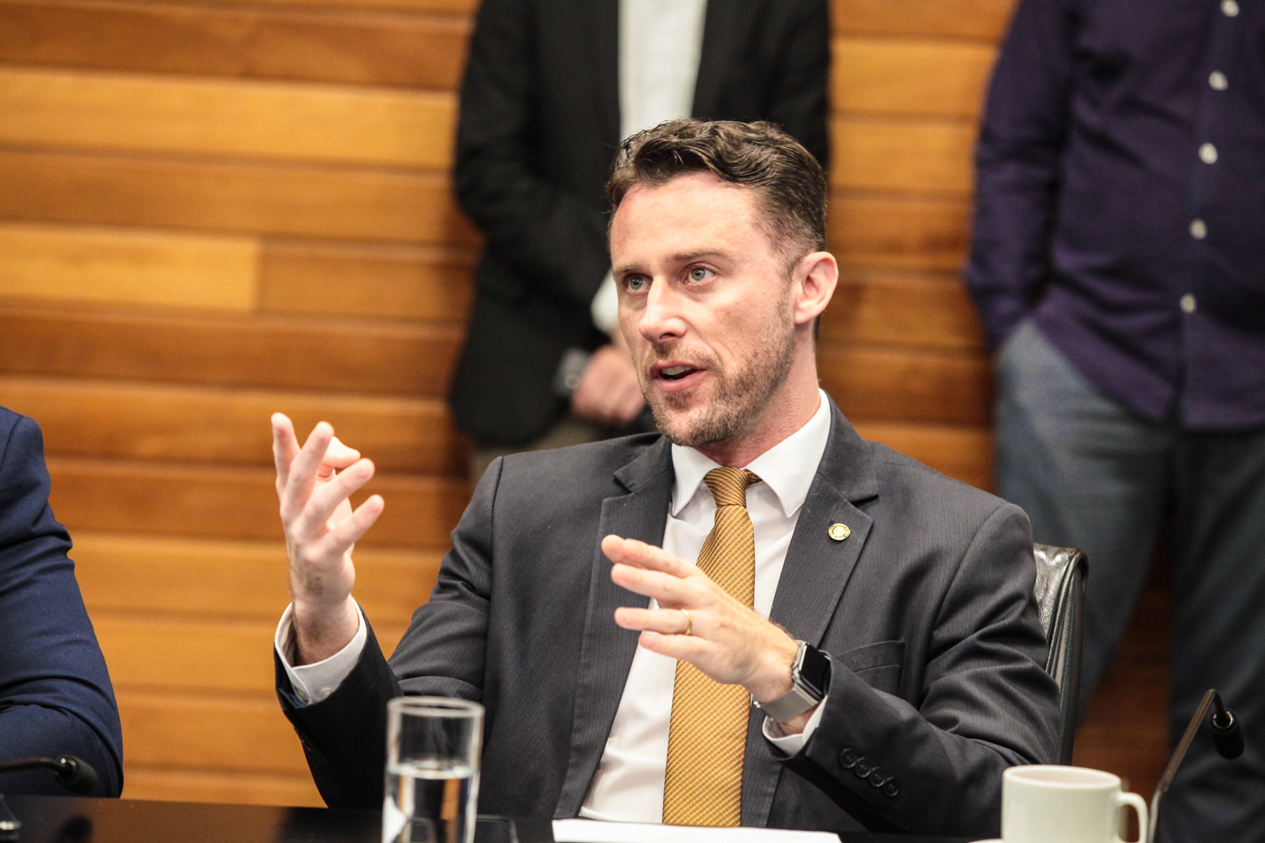 - Deputado Fernando Krelling (MDB)