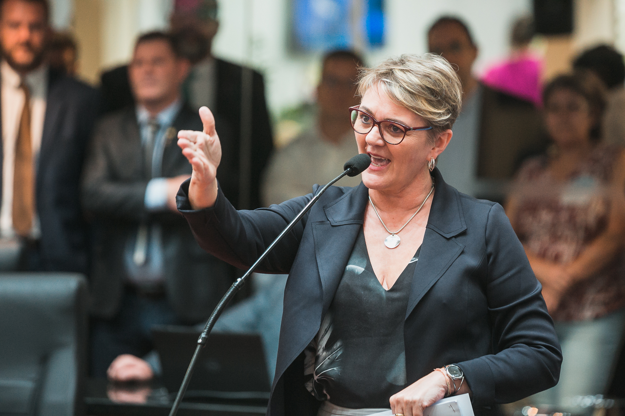 - Deputada Luciane Carminatti (PT)