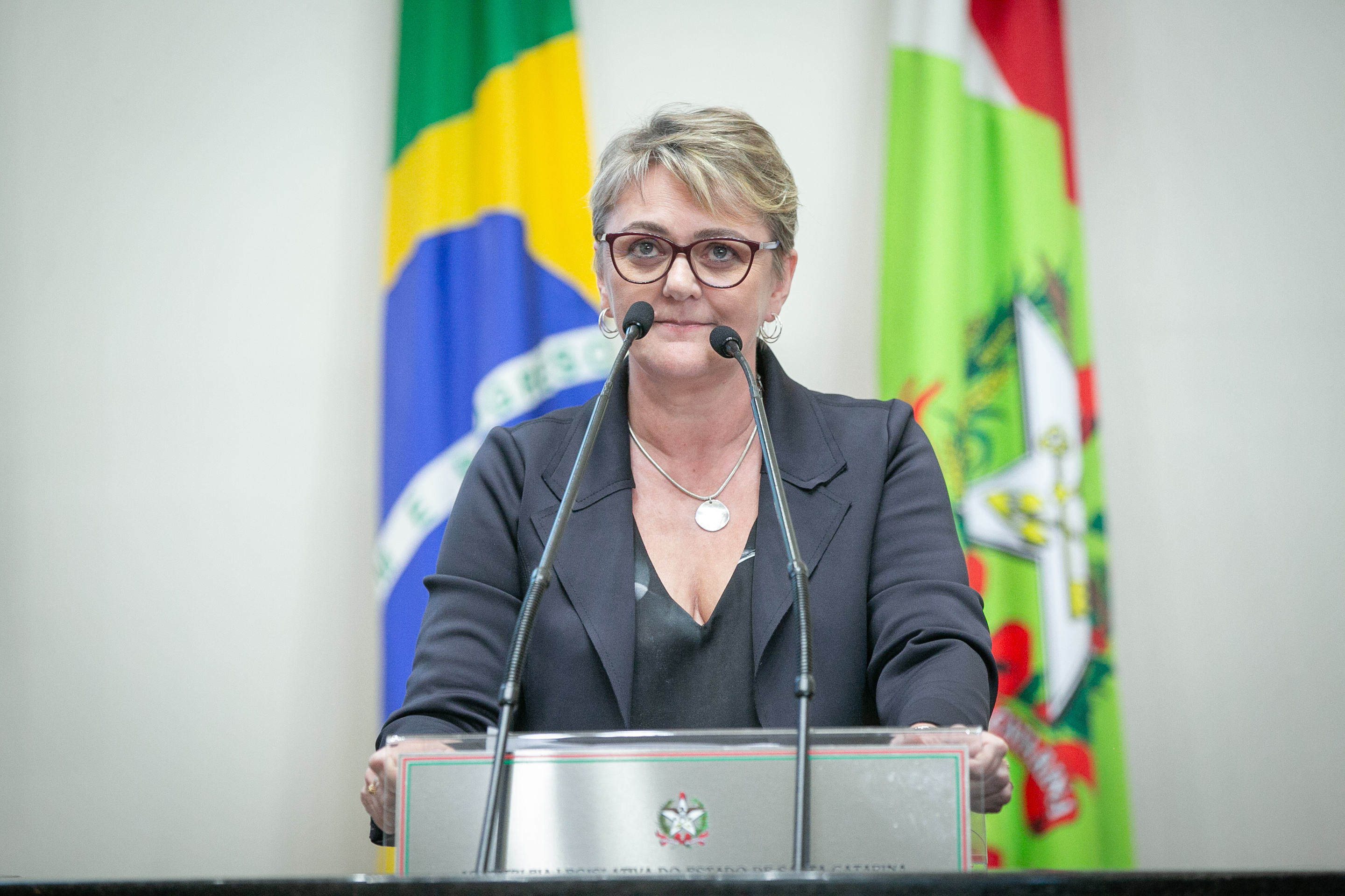 - Deputada Luciane Carminatti (PT)