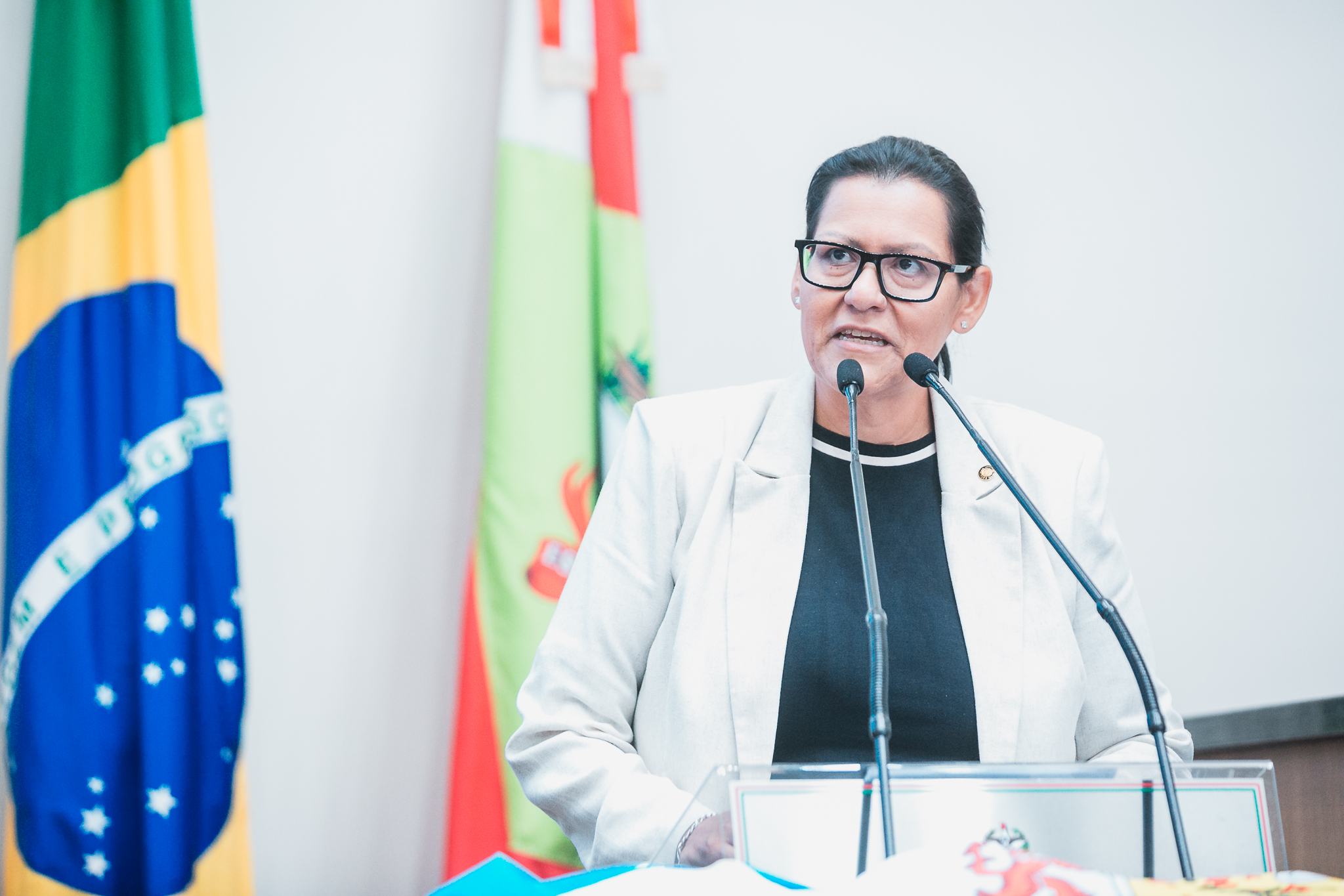 - Deputada Jana Guedes (PDT)
