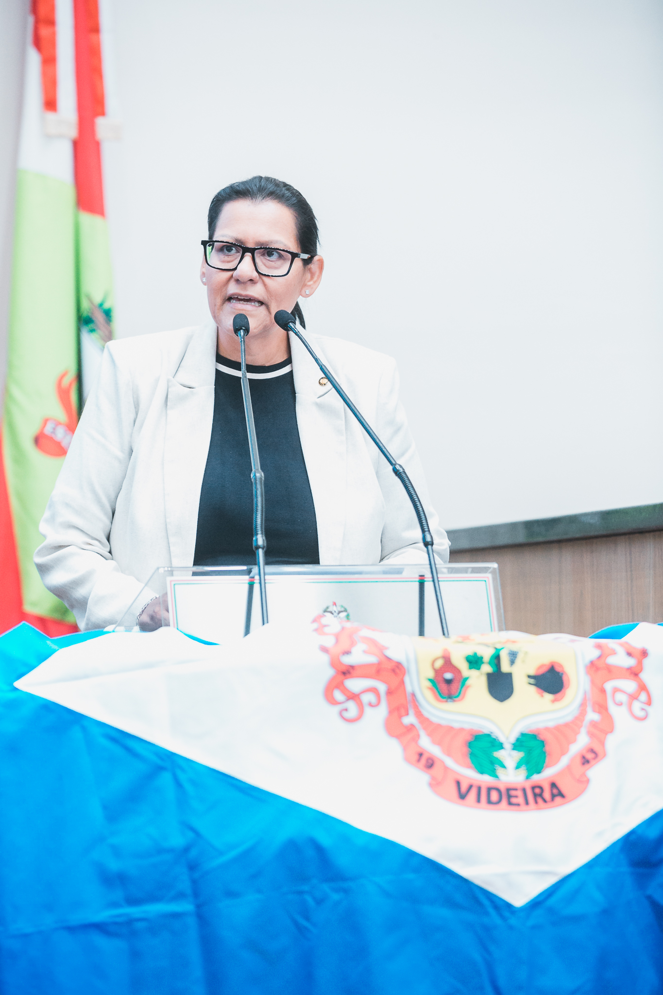 - Deputada Jana Guedes (PDT)