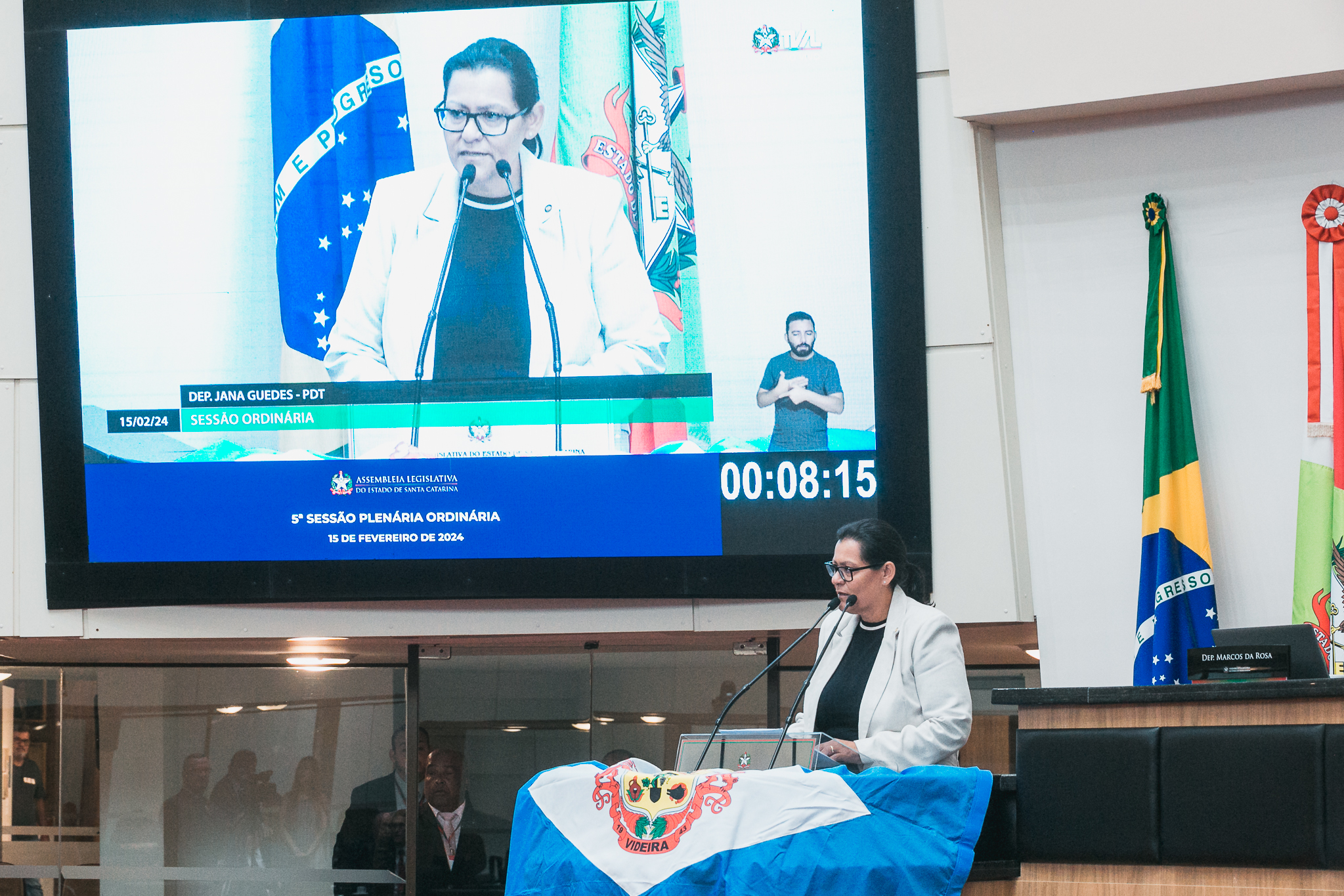 - Deputada Jana Guedes (PDT)