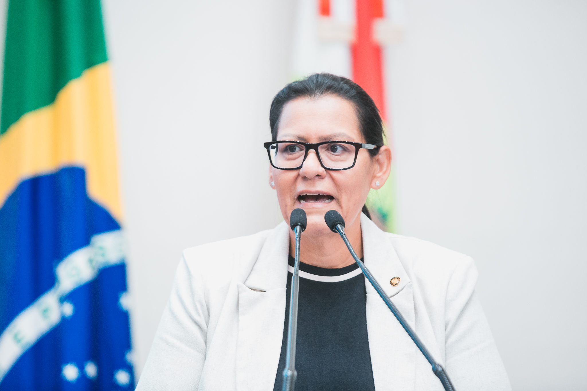 - Deputada Jana Guedes (PDT)