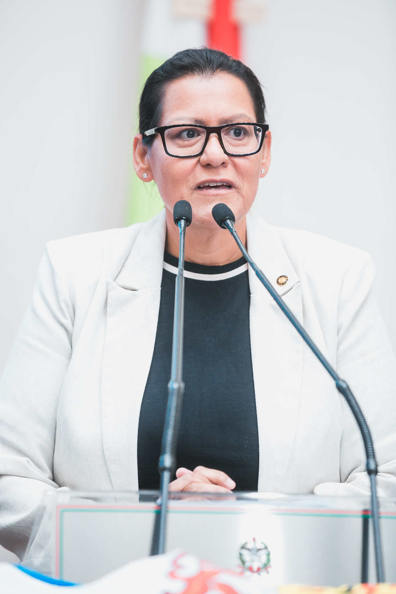 - Deputada Jana Guedes (PDT)