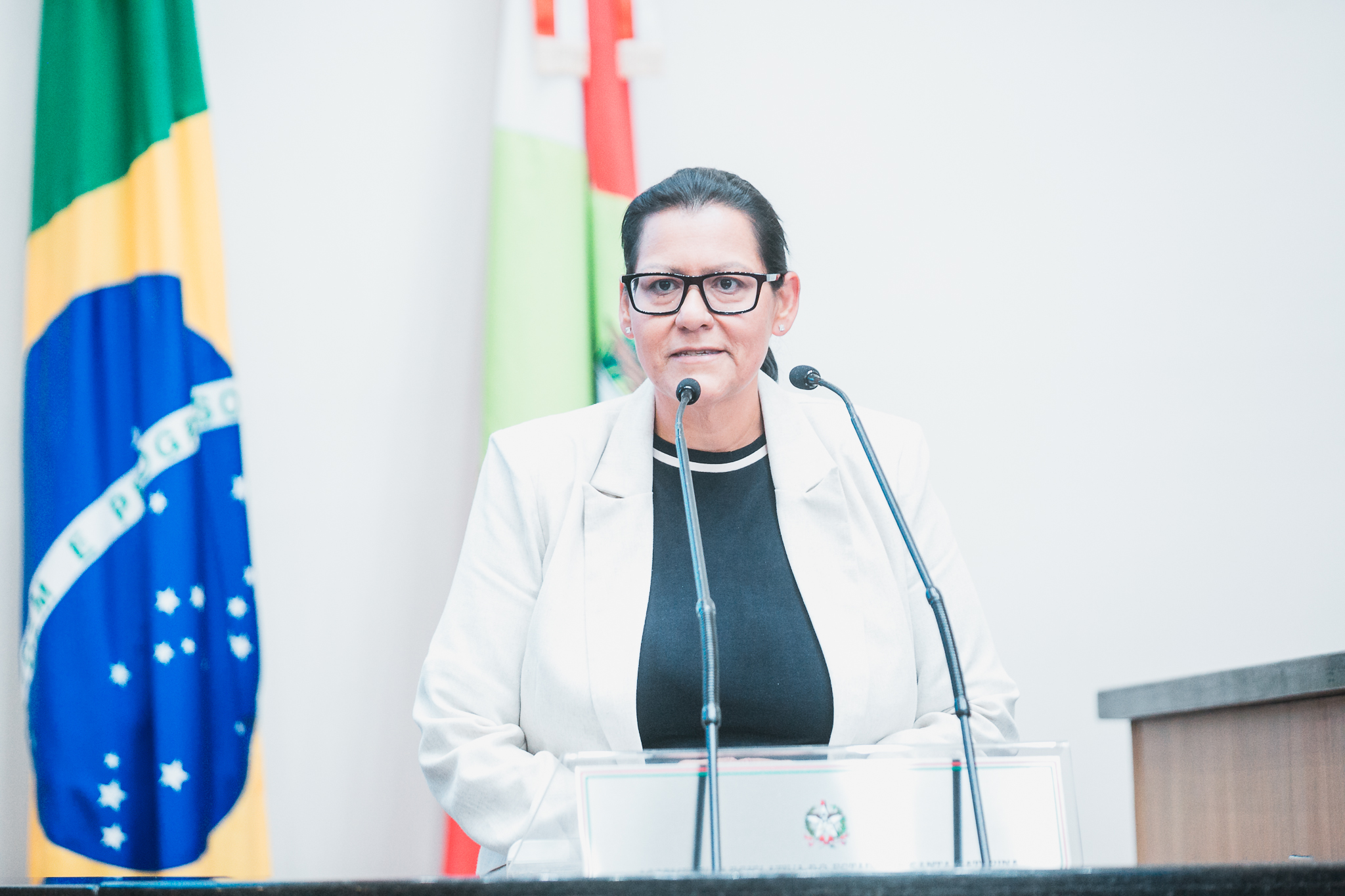 - Deputada Jana Guedes (PDT)