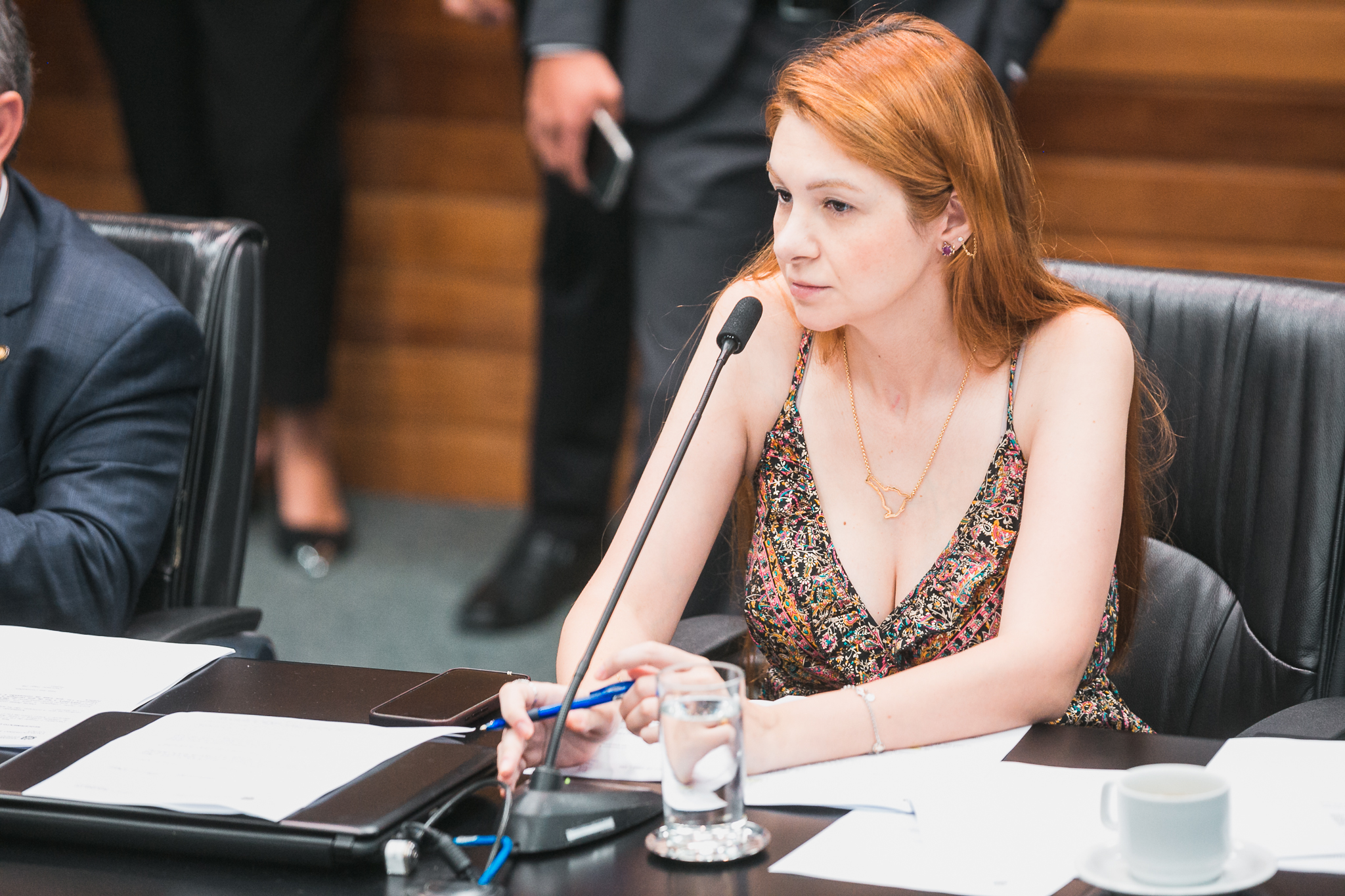 - Deputada Ana Caroline Campagnolo (PL)