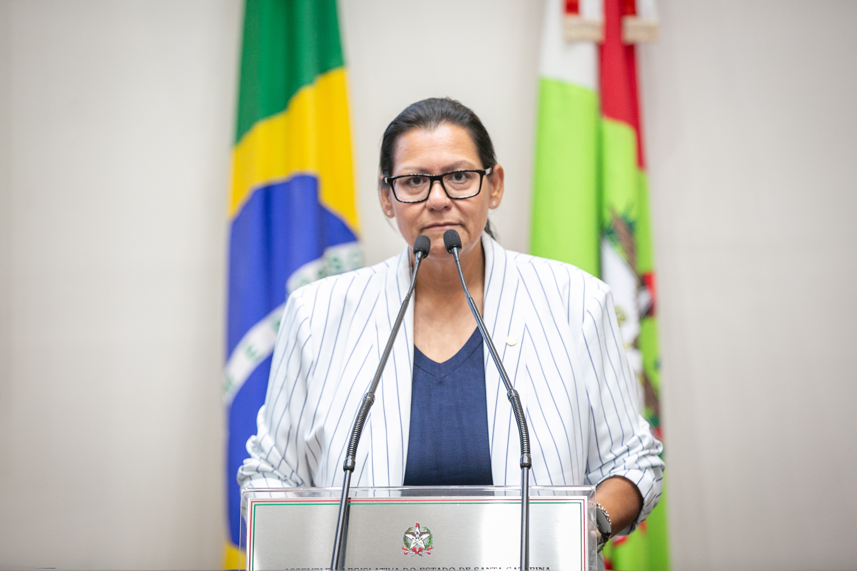 - Deputada Jana Guedes (PDT)