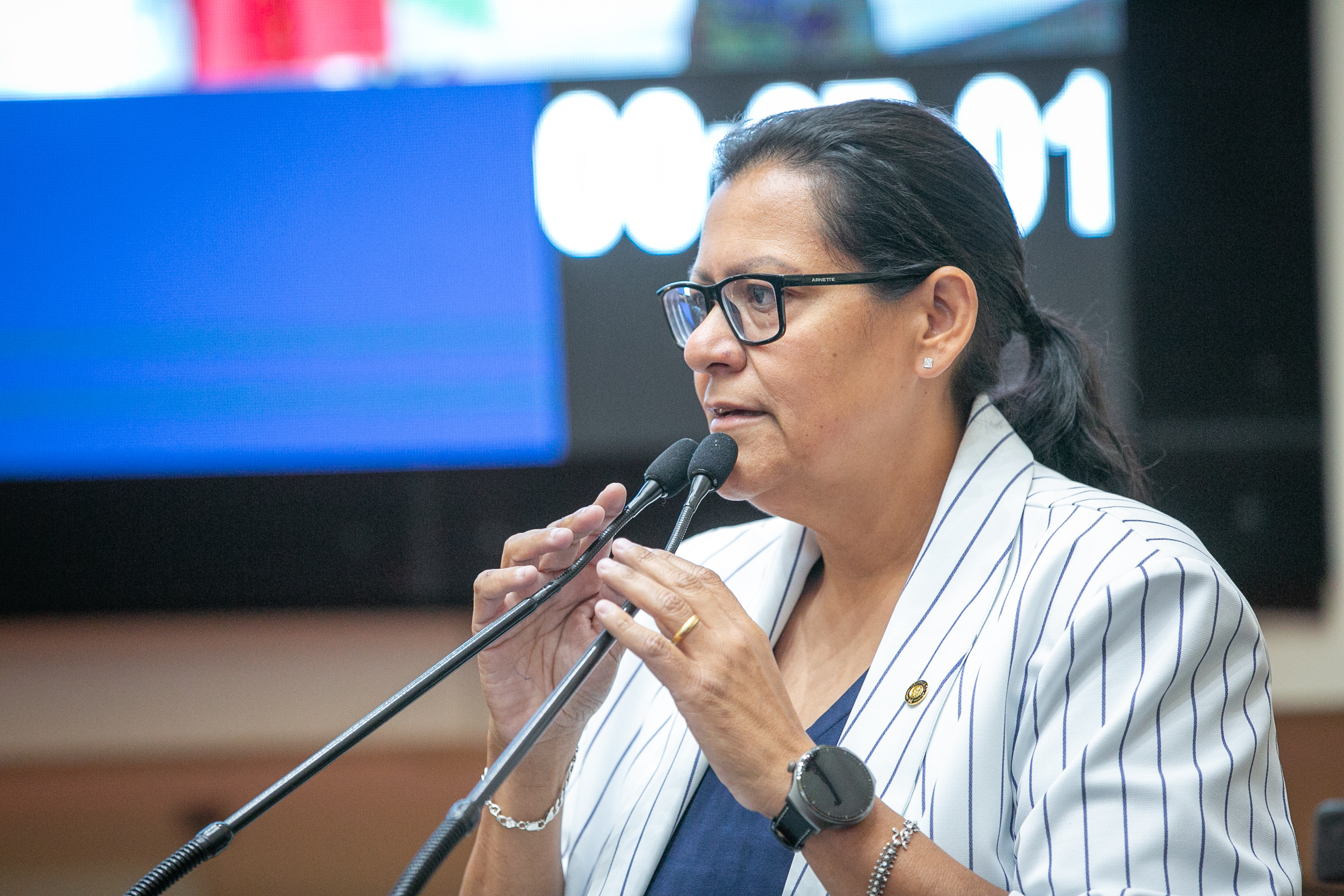 - Deputada Jana Guedes (PDT)