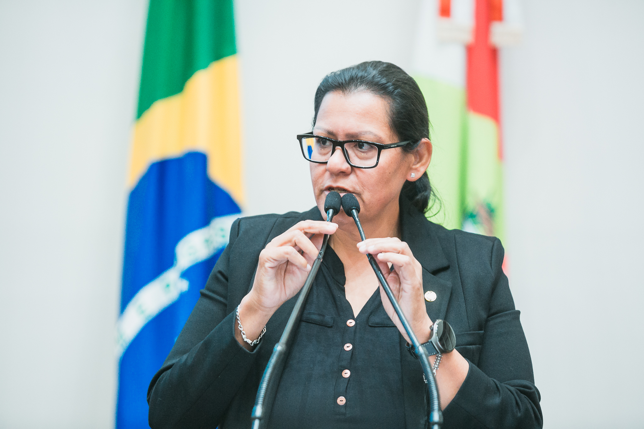 - Deputada Jana Guedes (PDT)