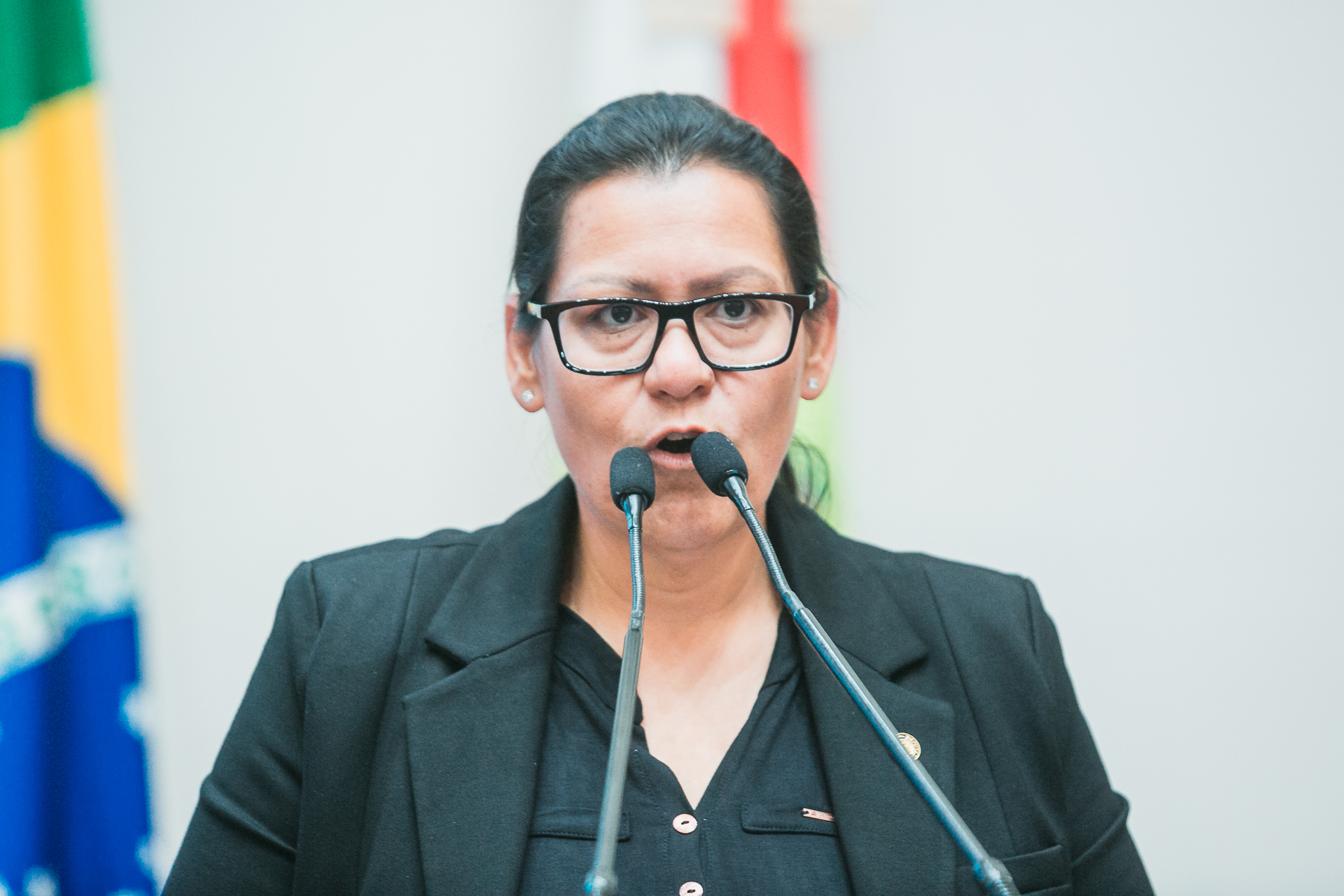 - Deputada Jana Guedes (PDT)