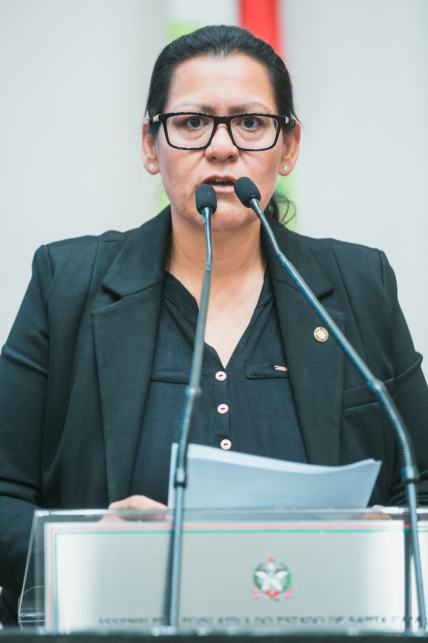 - Deputada Jana Guedes (PDT)