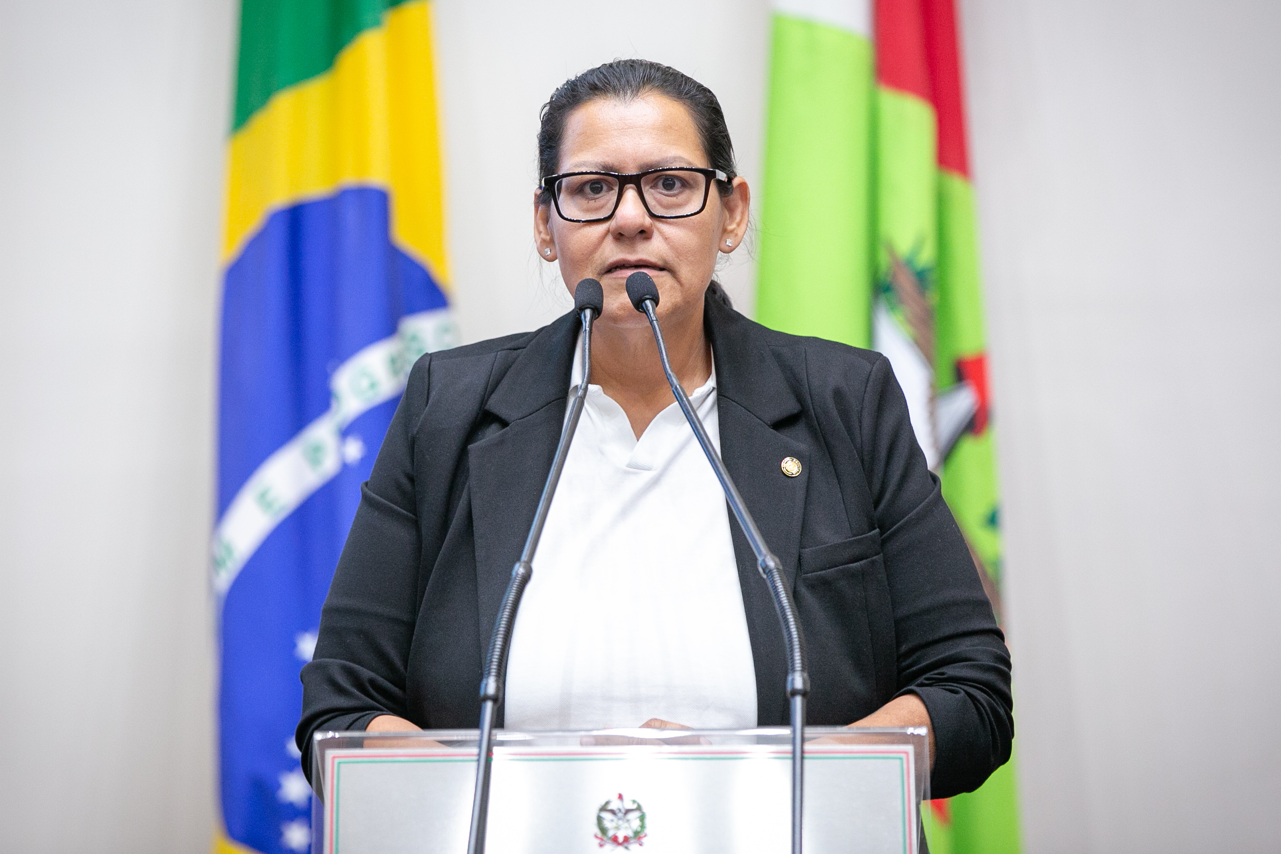 - Deputada Jana Guedes (PDT)