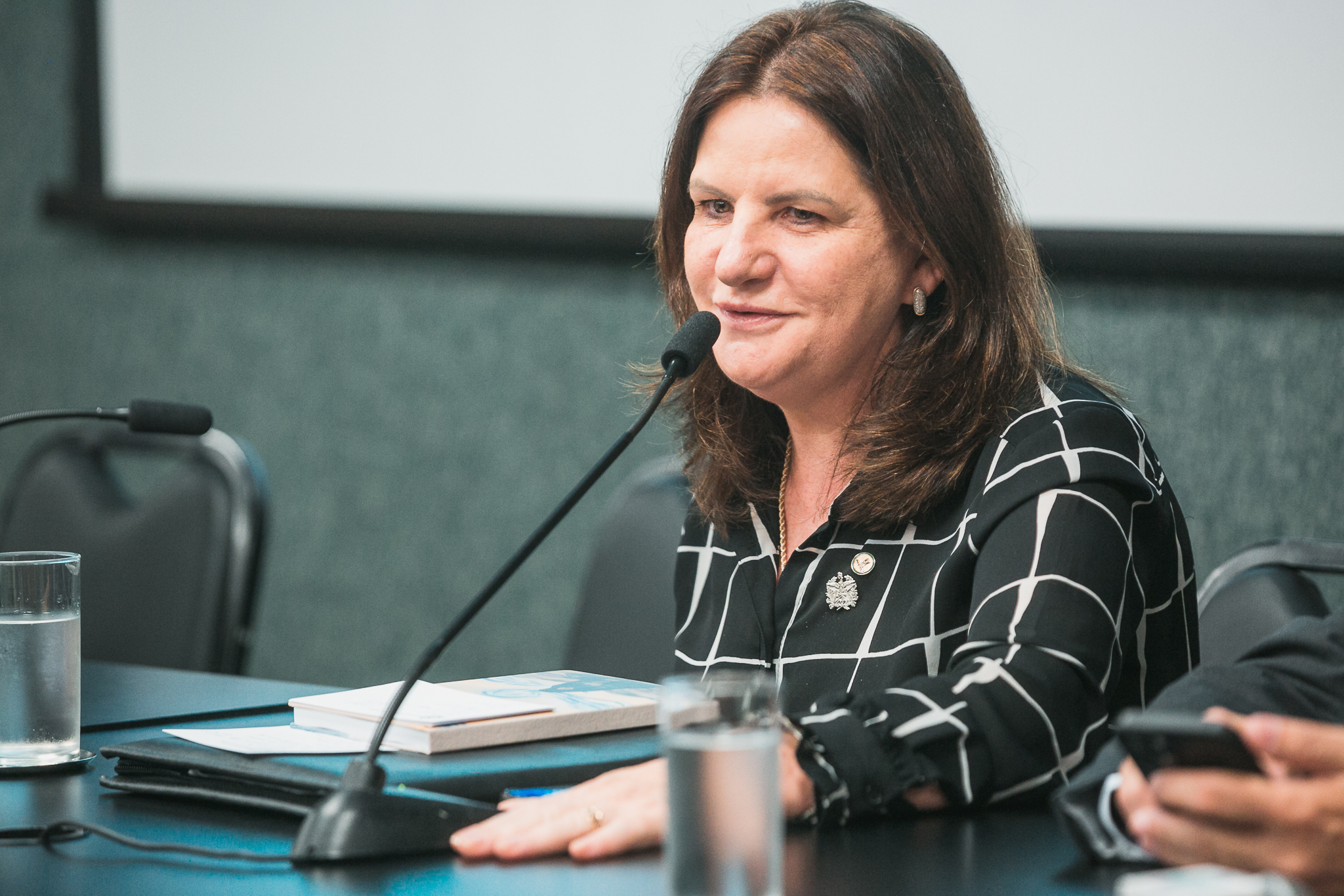 Carme Zanotto-Presidente da Secretaria da Saúde