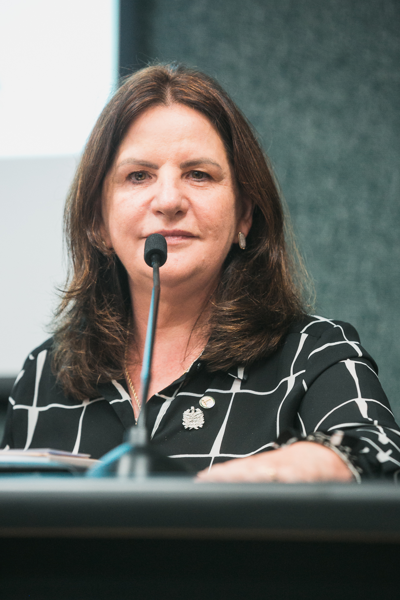 Carme Zanotto-Presidente da Secretaria da Saúde