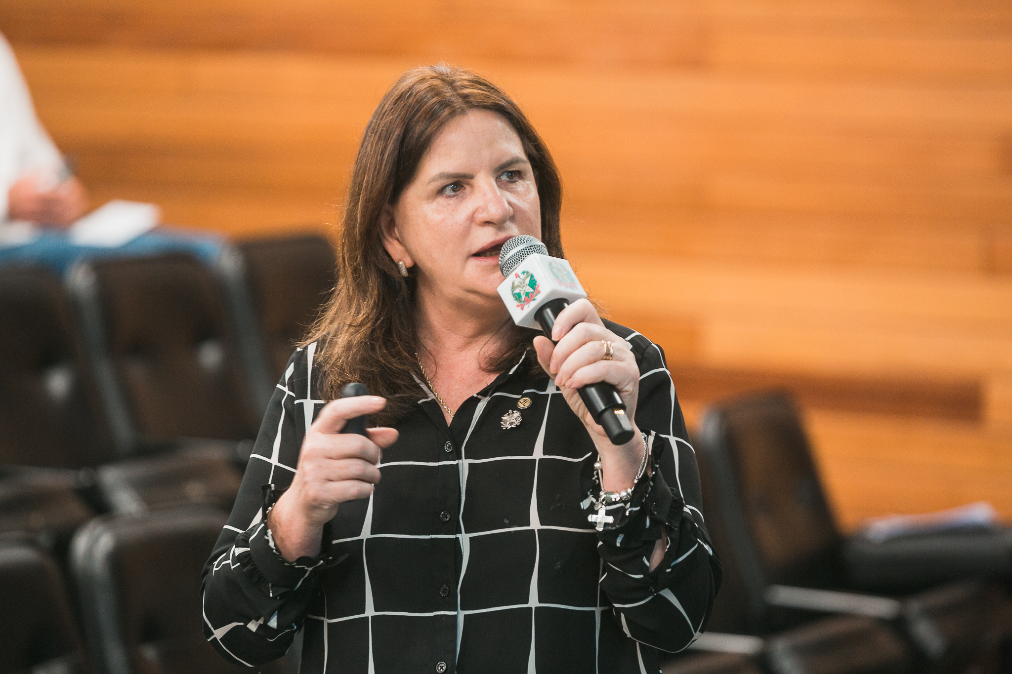 Carme Zanotto-Presidente da Secretaria da Saúde