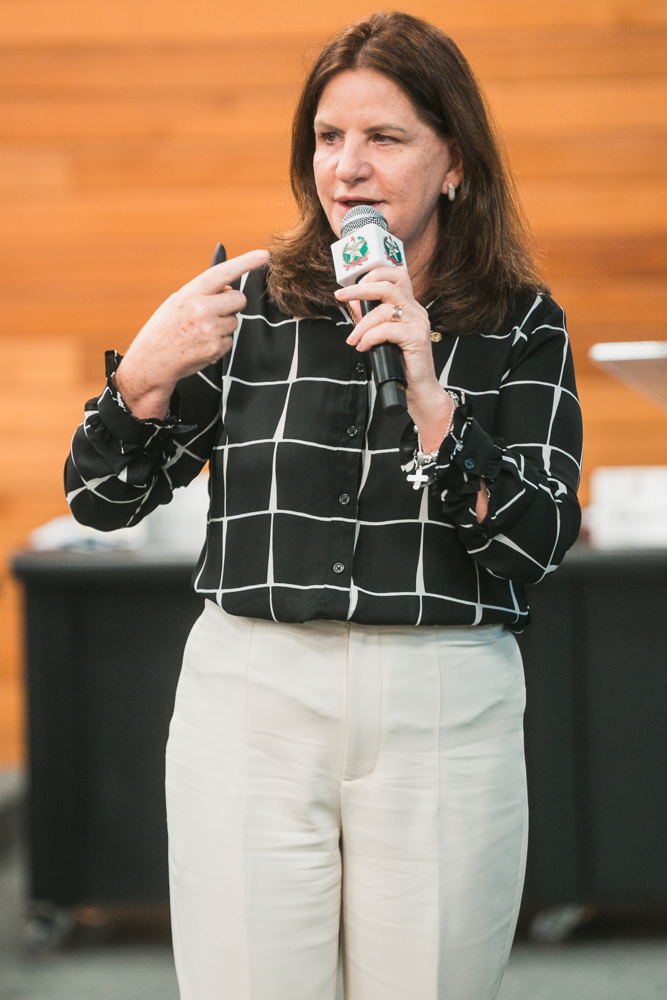 Carme Zanotto-Presidente da Secretaria da Saúde