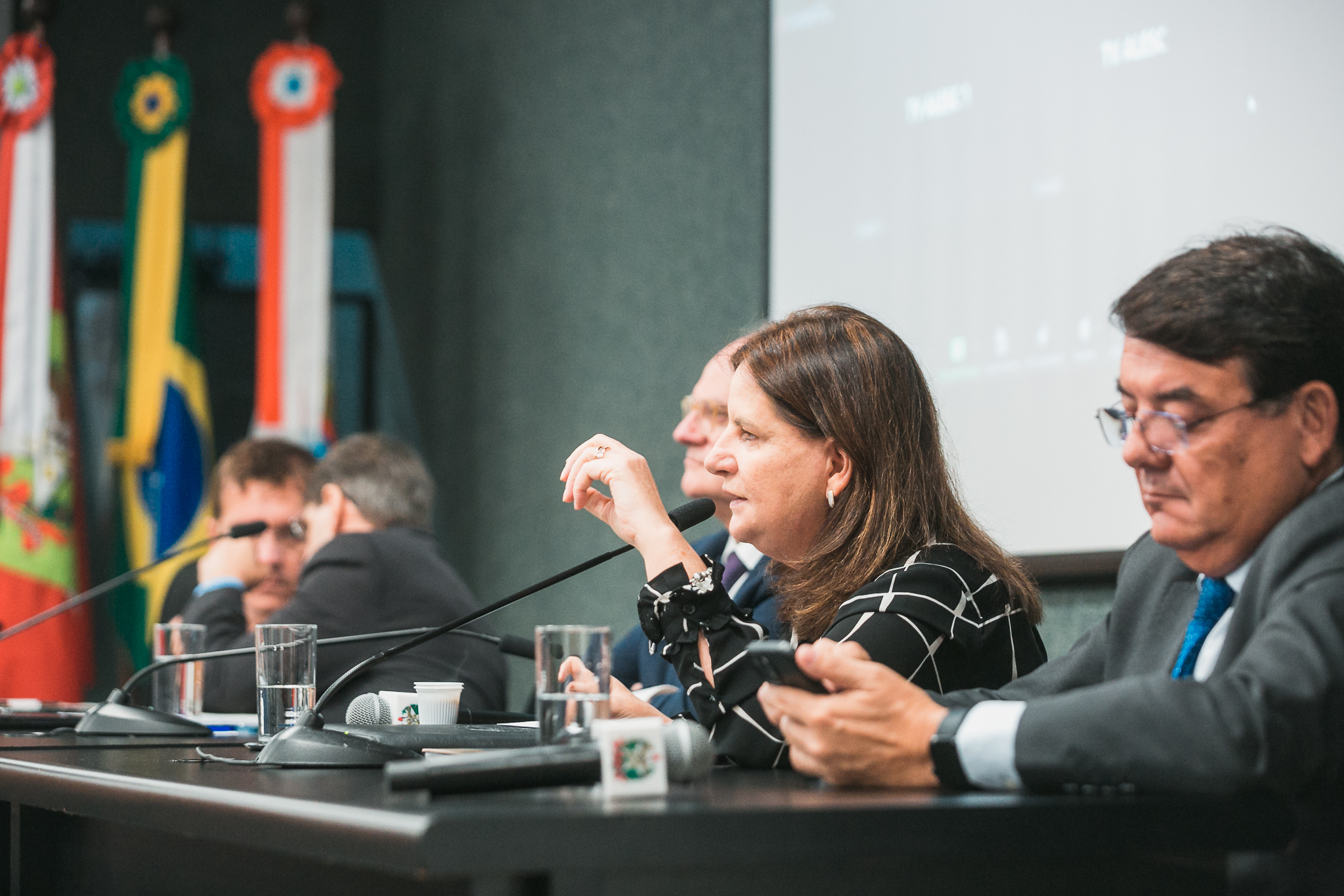 Carme Zanotto-Presidente da Secretaria da Saúde- Deputado Mauricio Peixer (PL)