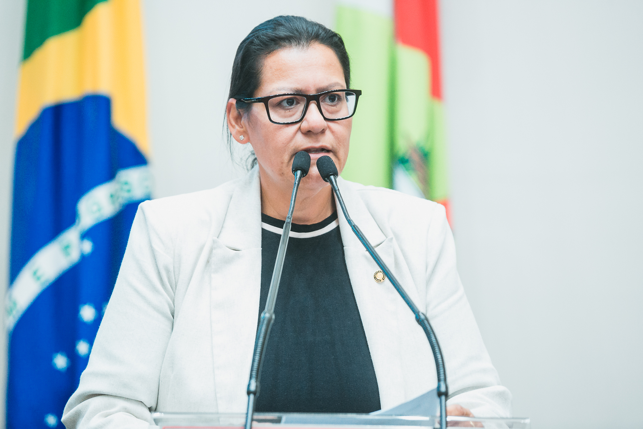 - Deputada Jana Guedes (PDT)