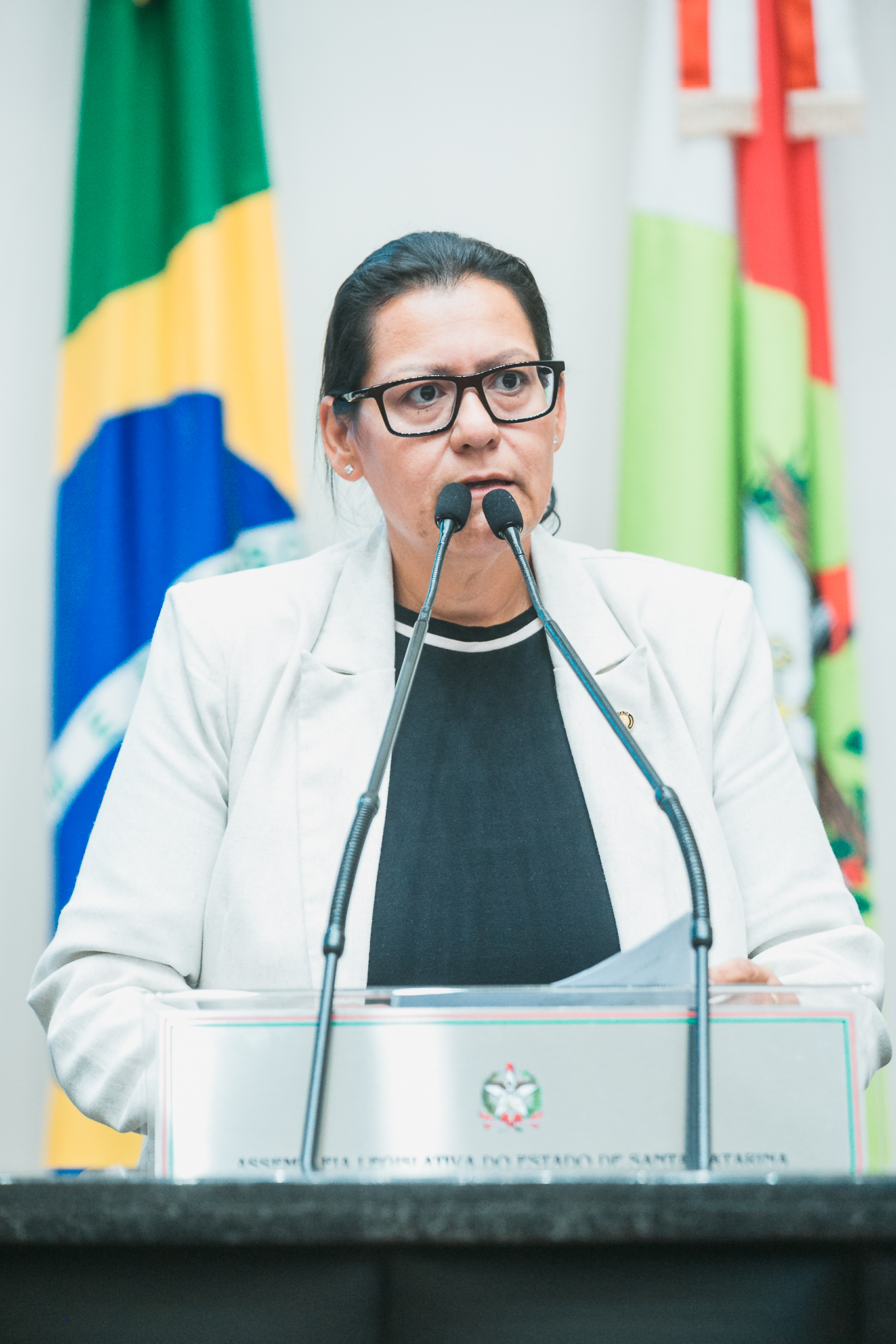 - Deputada Jana Guedes (PDT)