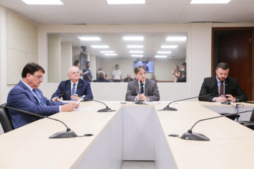 Preocupação com o avanço da dengue em SC domina debate na Comissão de Saúde