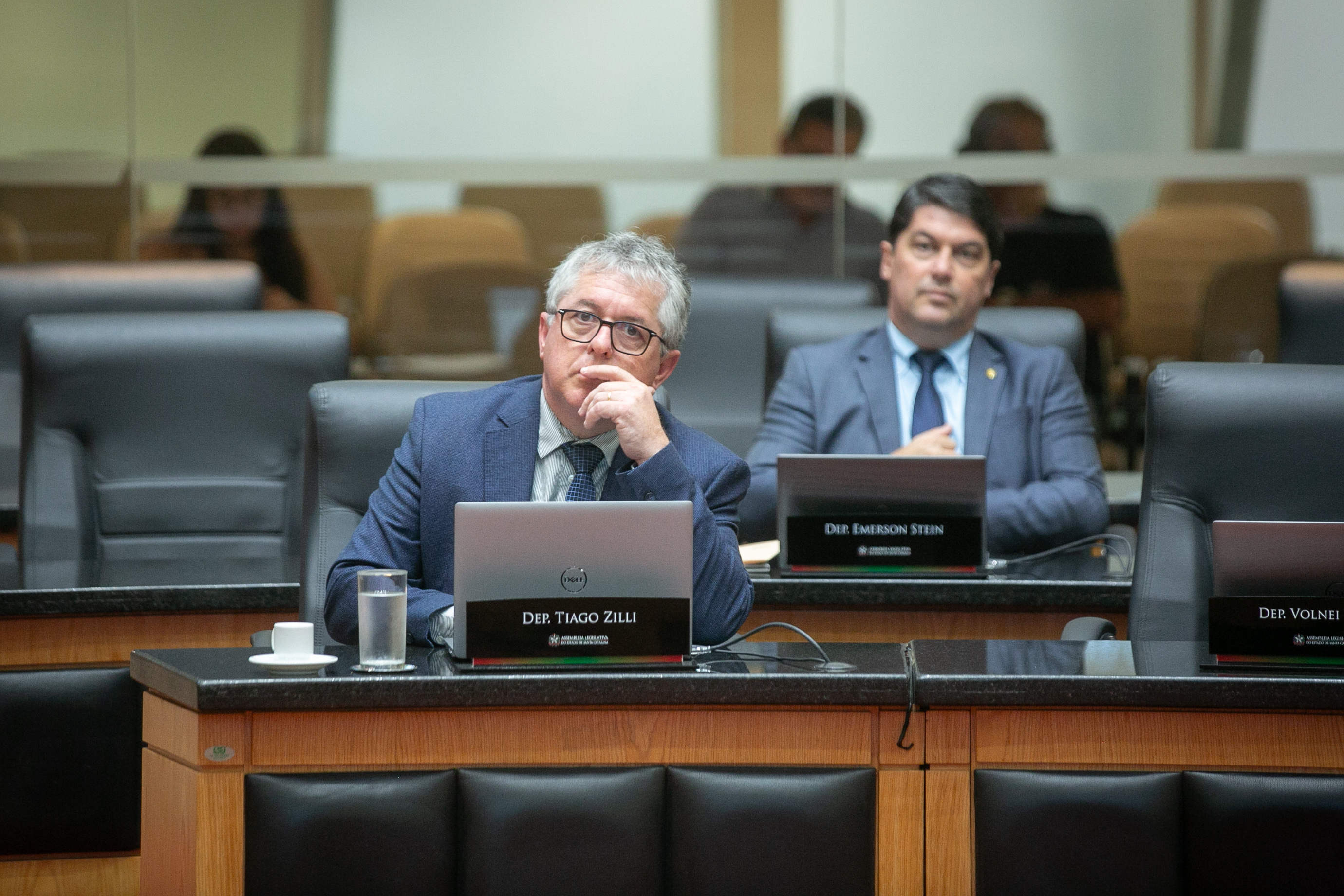 - Deputado Tiago Zilli (MDB)
 - Deputado Emerson Stein (MDB)