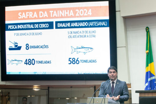 Restrição à pesca da tainha e declaração do governador repercutem em Sessão
