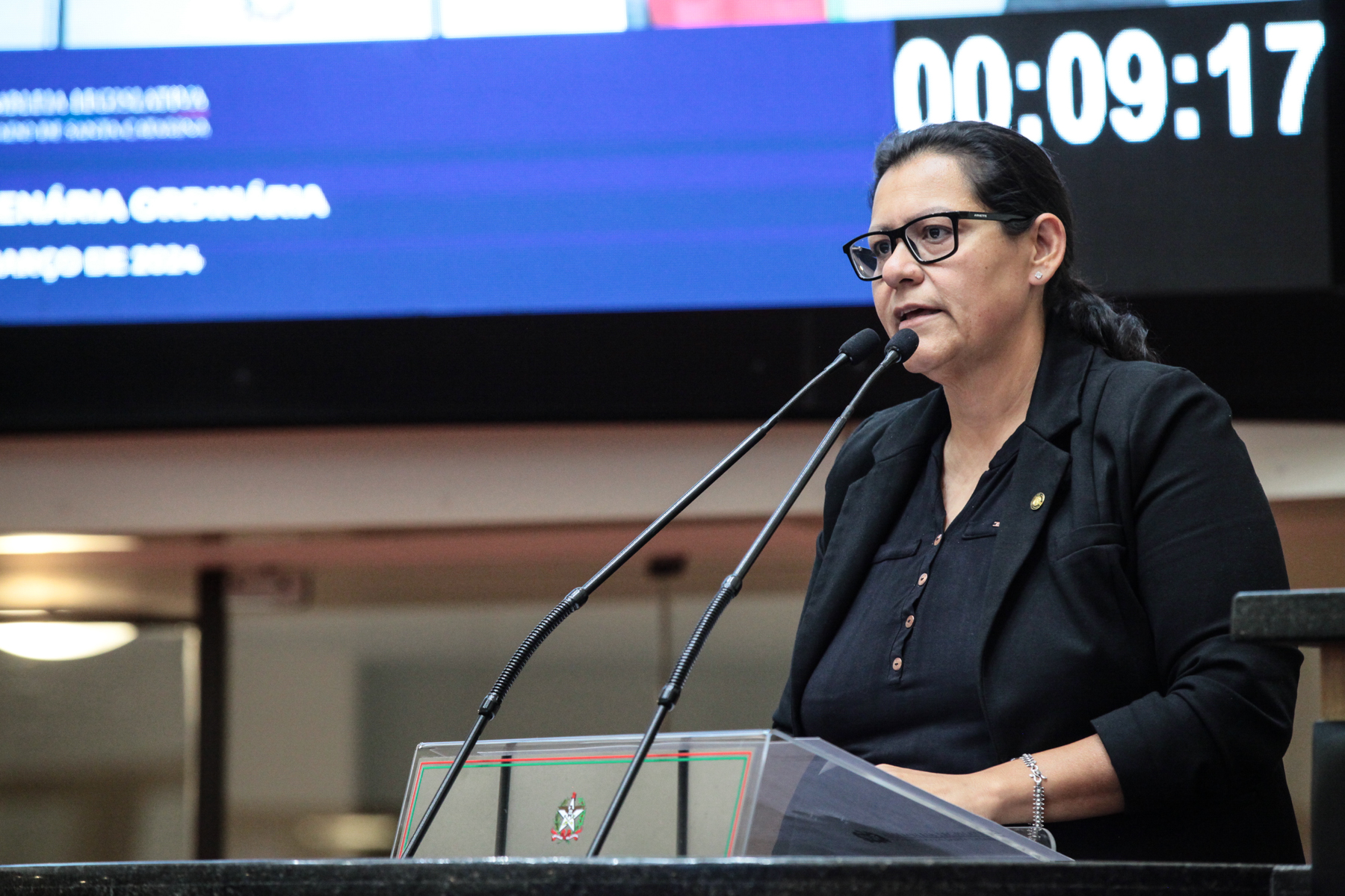 - Deputada Jana Guedes (PDT)