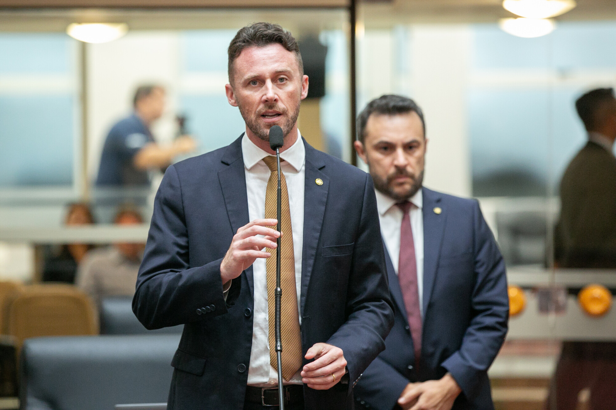 - Deputado Fernando Krelling (MDB)