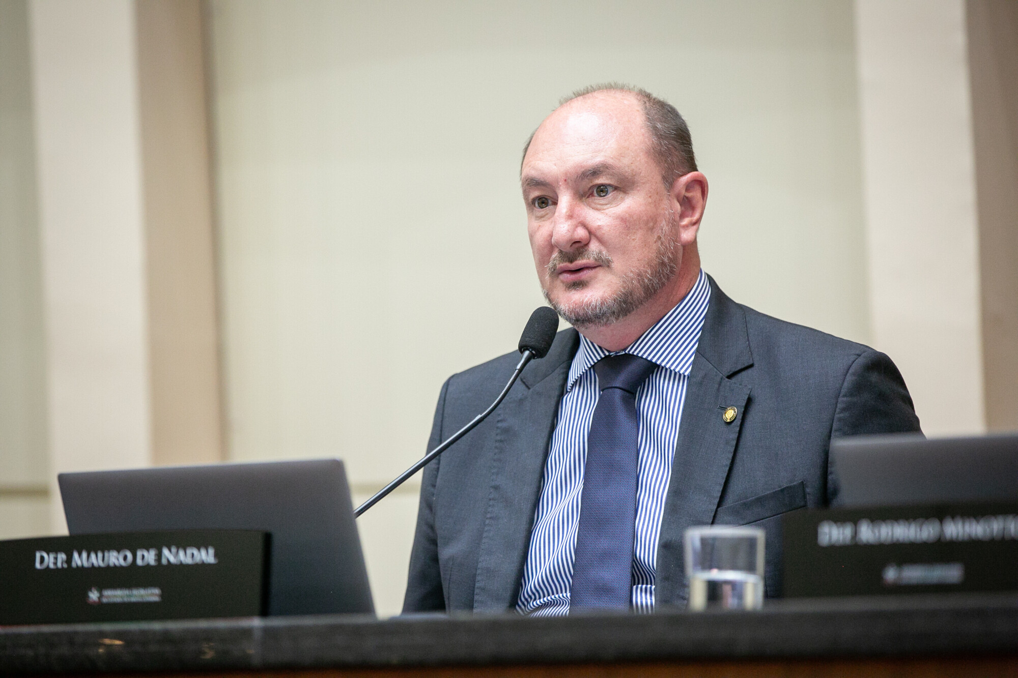 - Deputado Mauro de Nadal (MDB)
