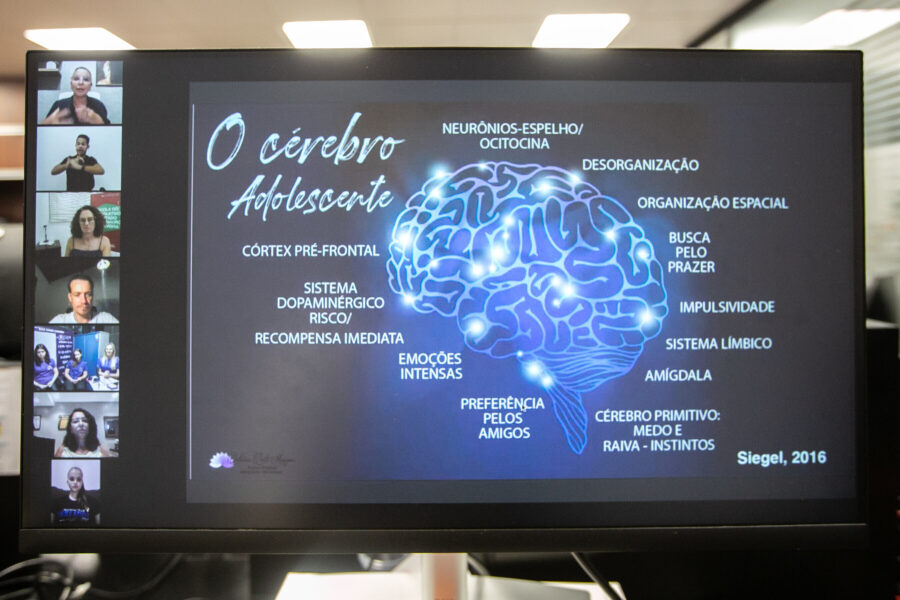 Seminário foi realizado de forma virtual.