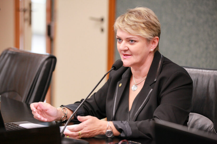 Deputada Luciane Carminatti