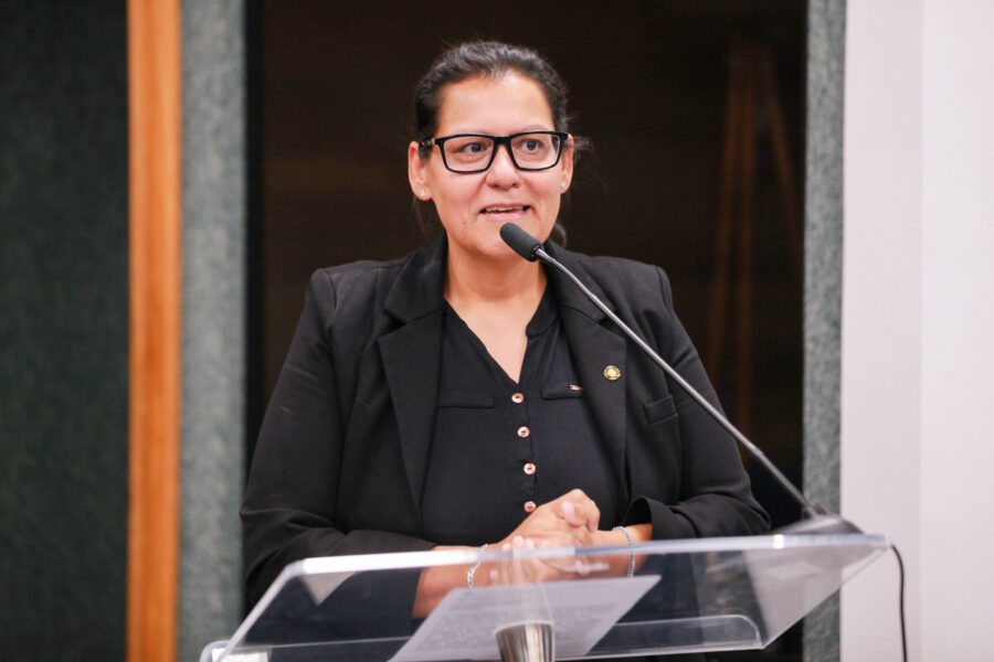 Reconhecimento foi proposto pela deputada Jana Guedes (PDT).