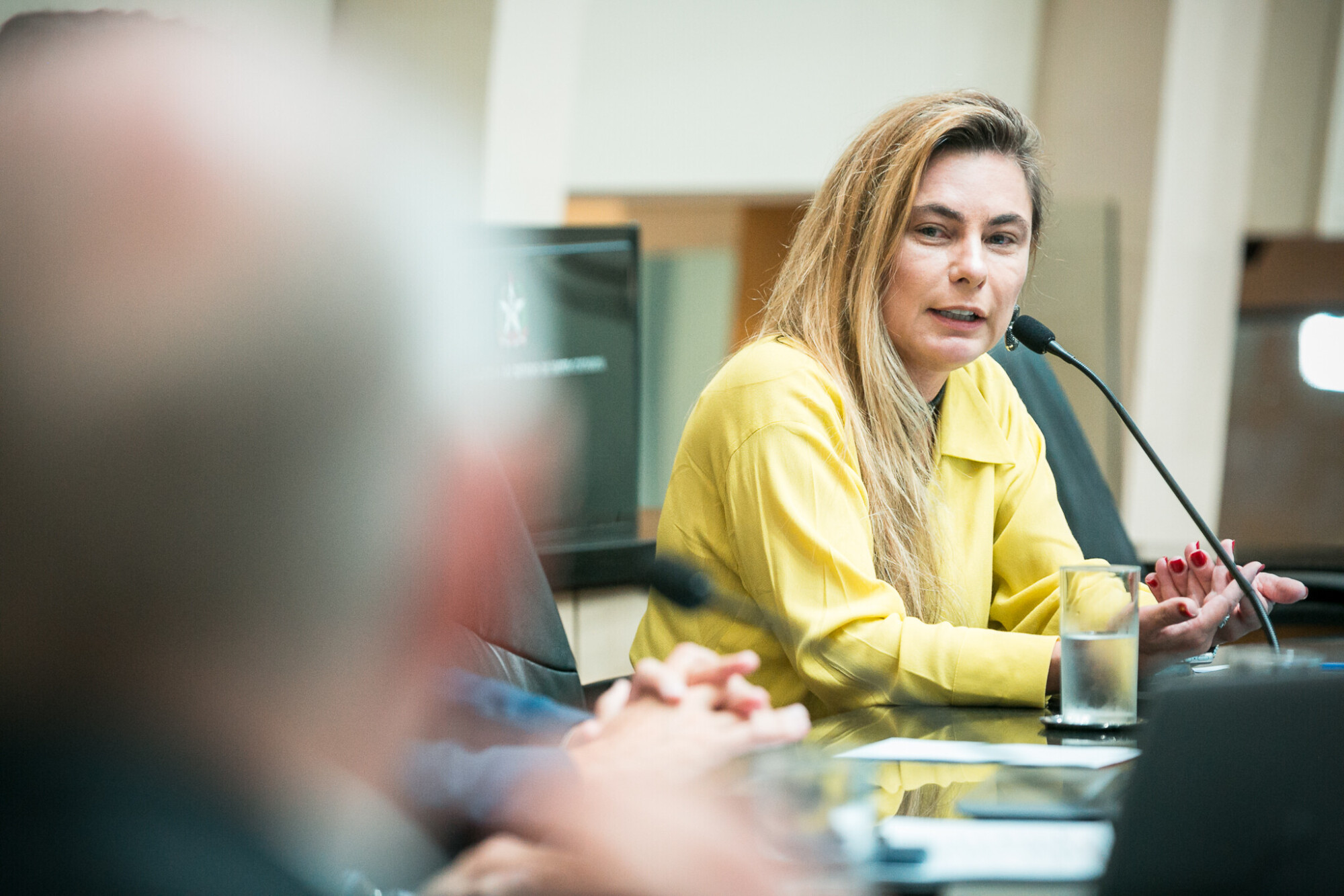 - Deputada Paulinha (Podemos)