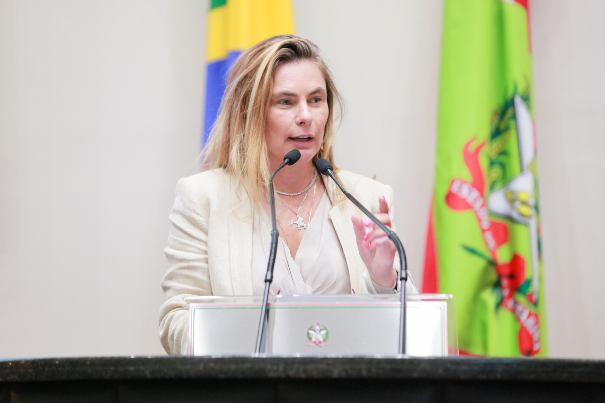 - Deputada Paulinha (Podemos)