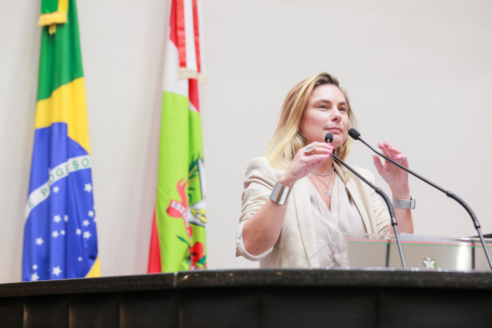 - Deputada Paulinha (Podemos)