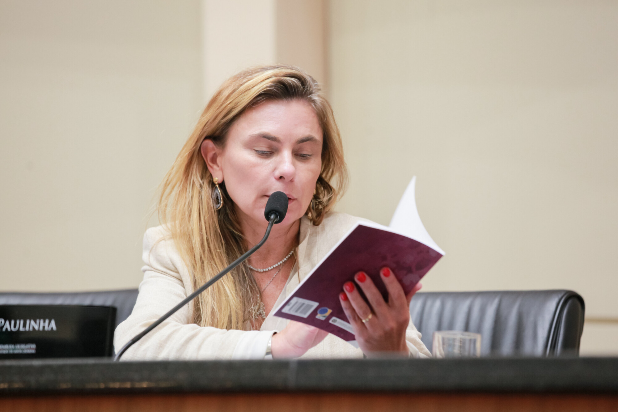 - Deputada Paulinha (Podemos)