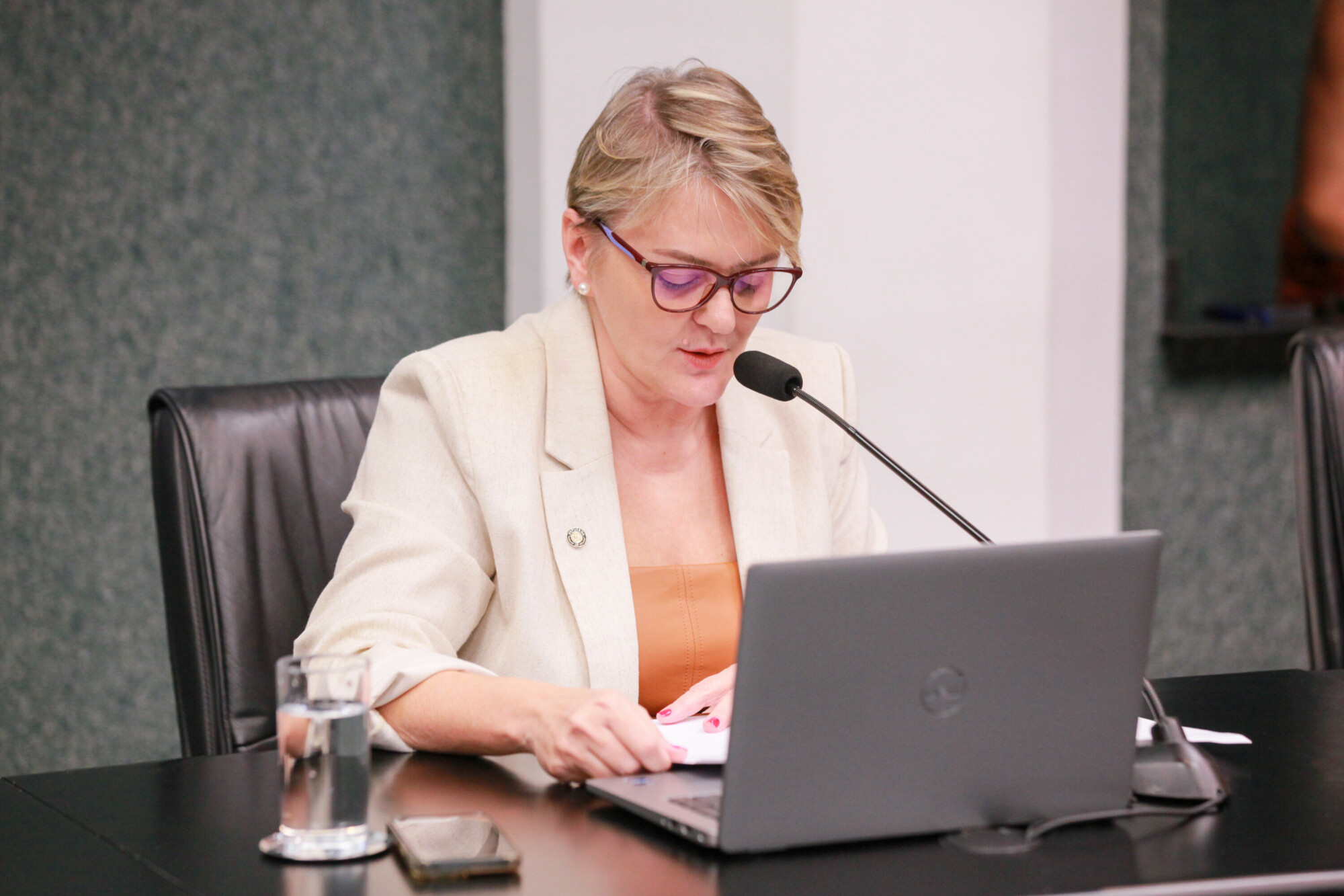 - Deputada Luciane Carminatti (PT)