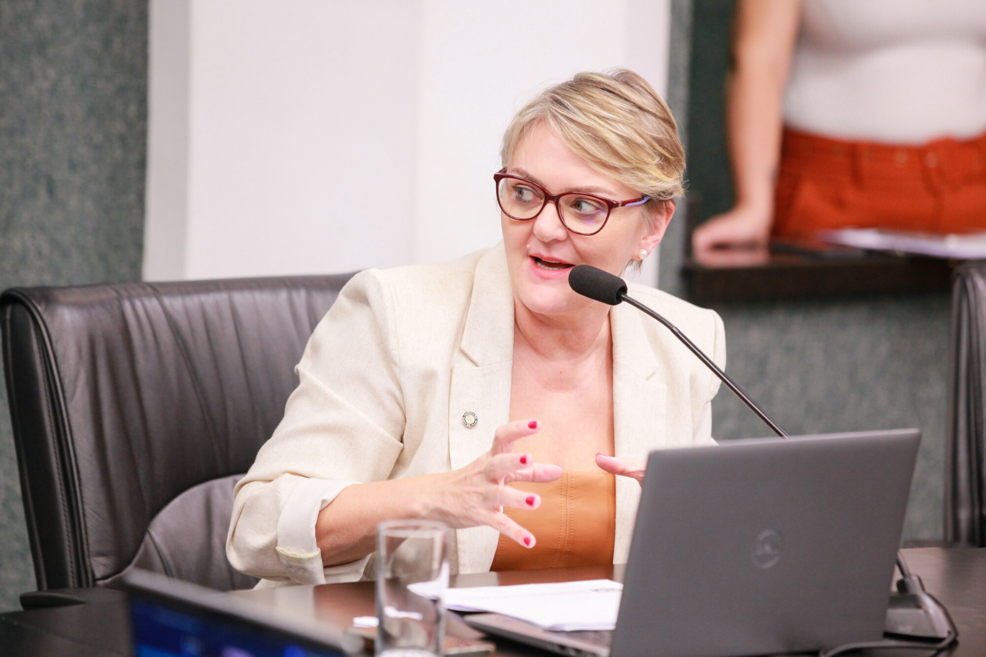 - Deputada Luciane Carminatti (PT)