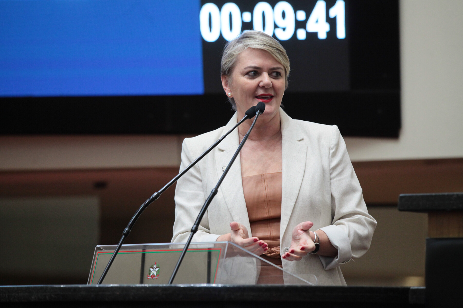 - Deputada Luciane Carminatti (PT)