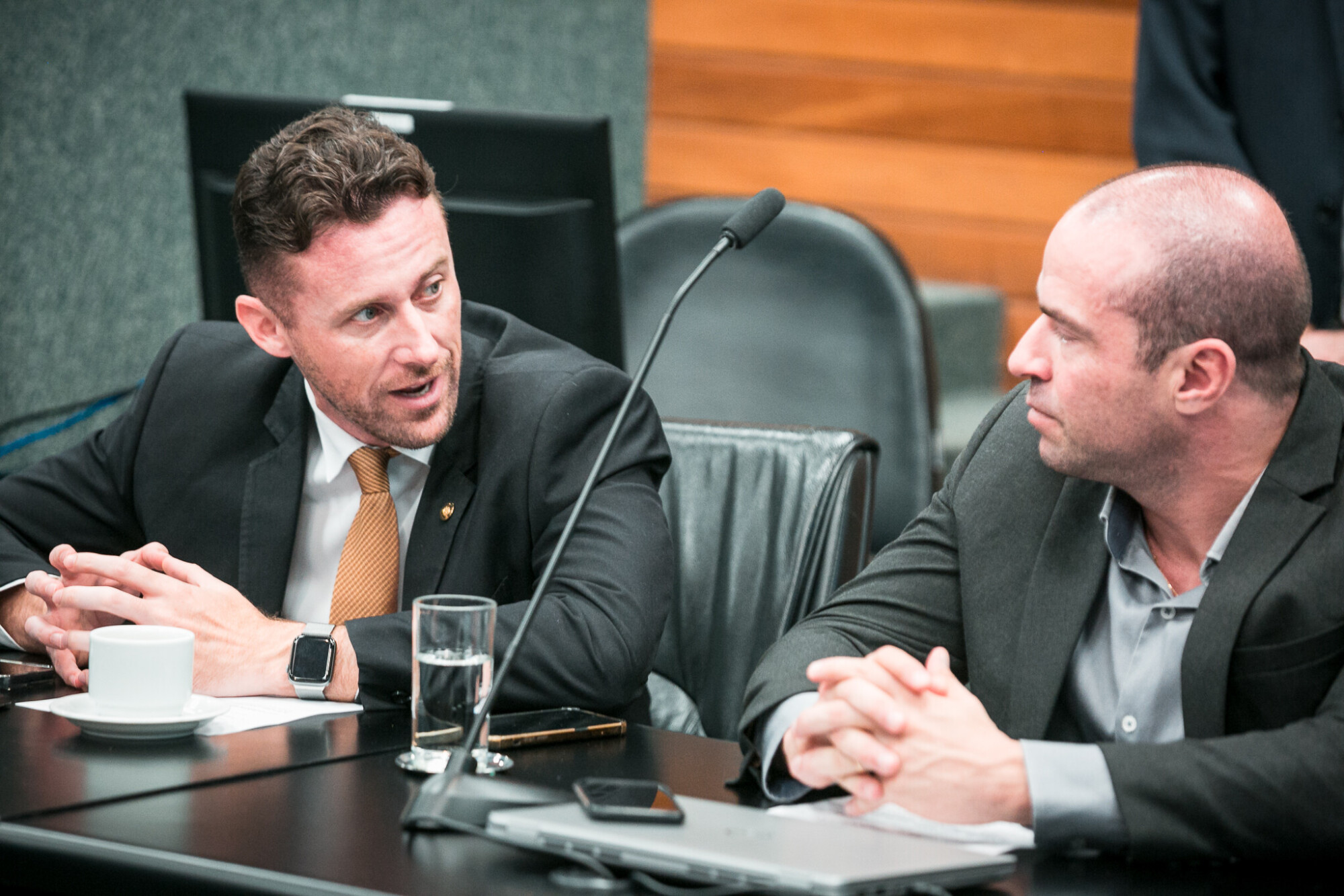- Deputado Fernando Krelling (MDB) 	
 - Deputado Jessé Lopes (PL)