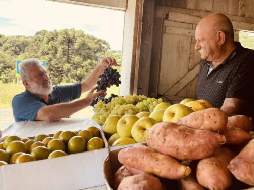 Nova cesta básica vai ficar mais diversificada e saudável, destaca Padre Pedro