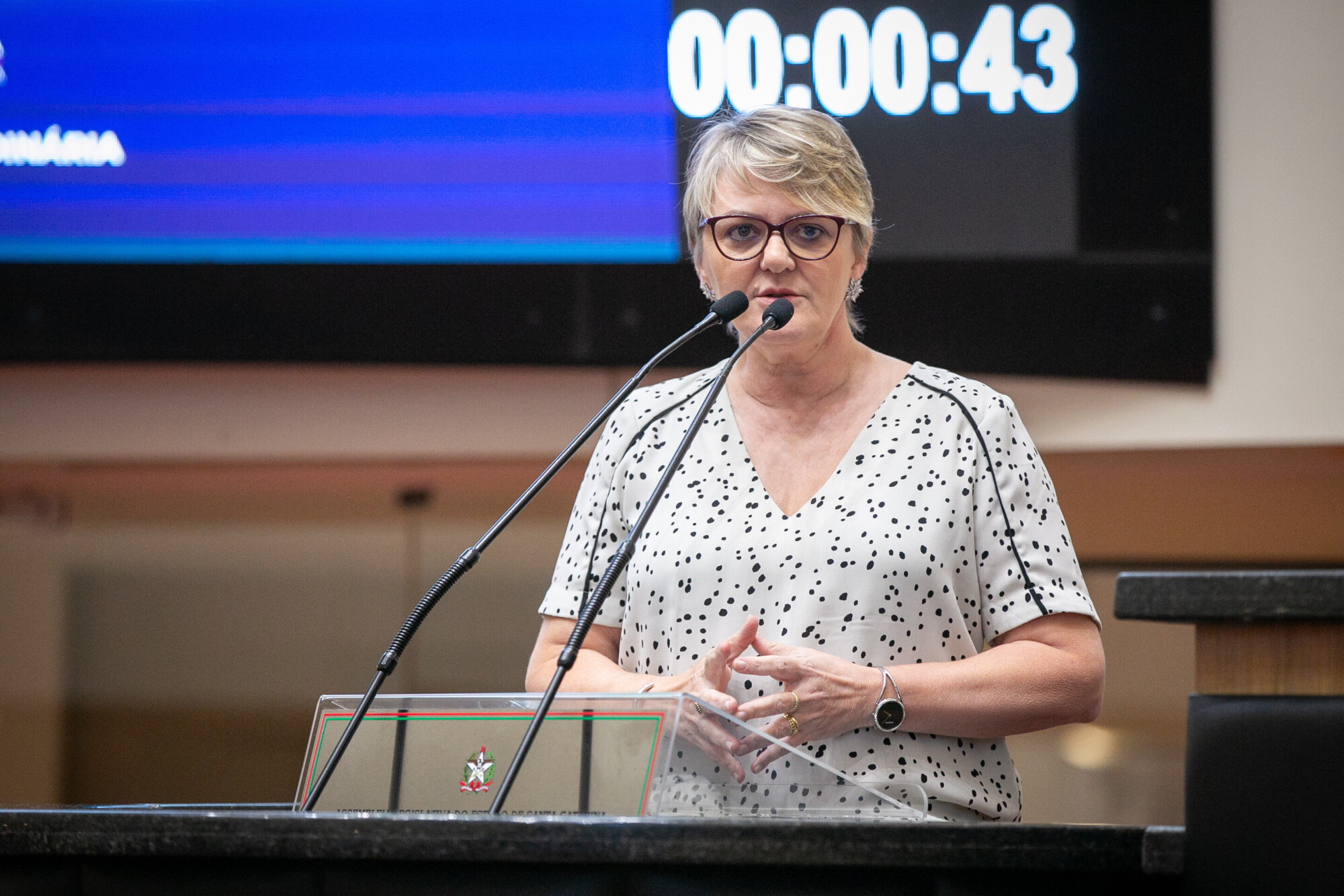 - Deputada Luciane Carminatti (PT)
