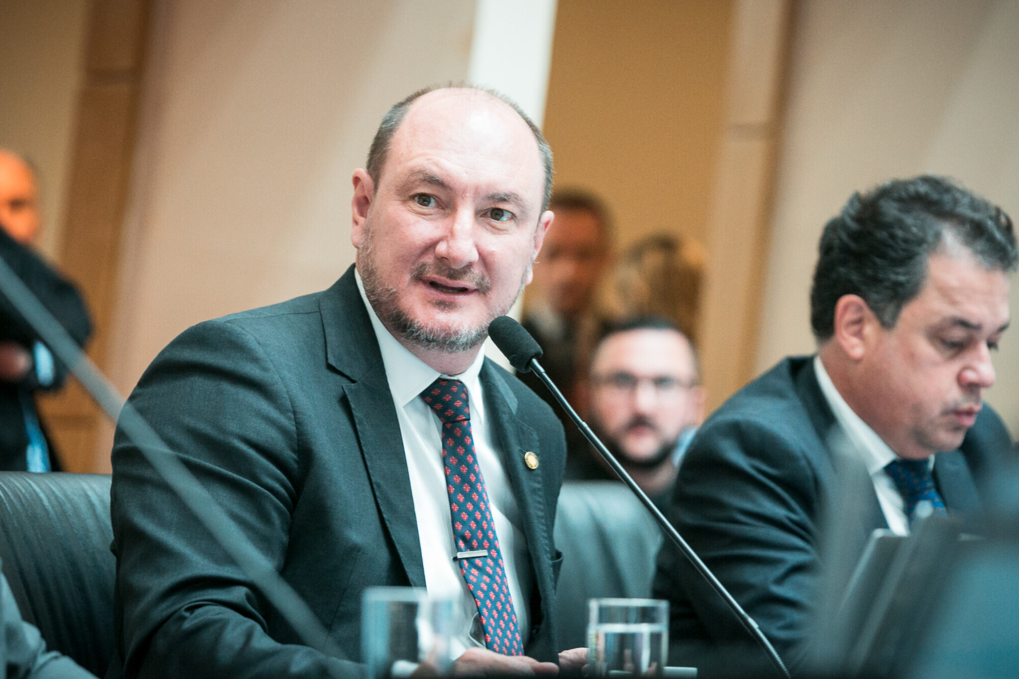 - Deputado Mauro de Nadal (MDB)